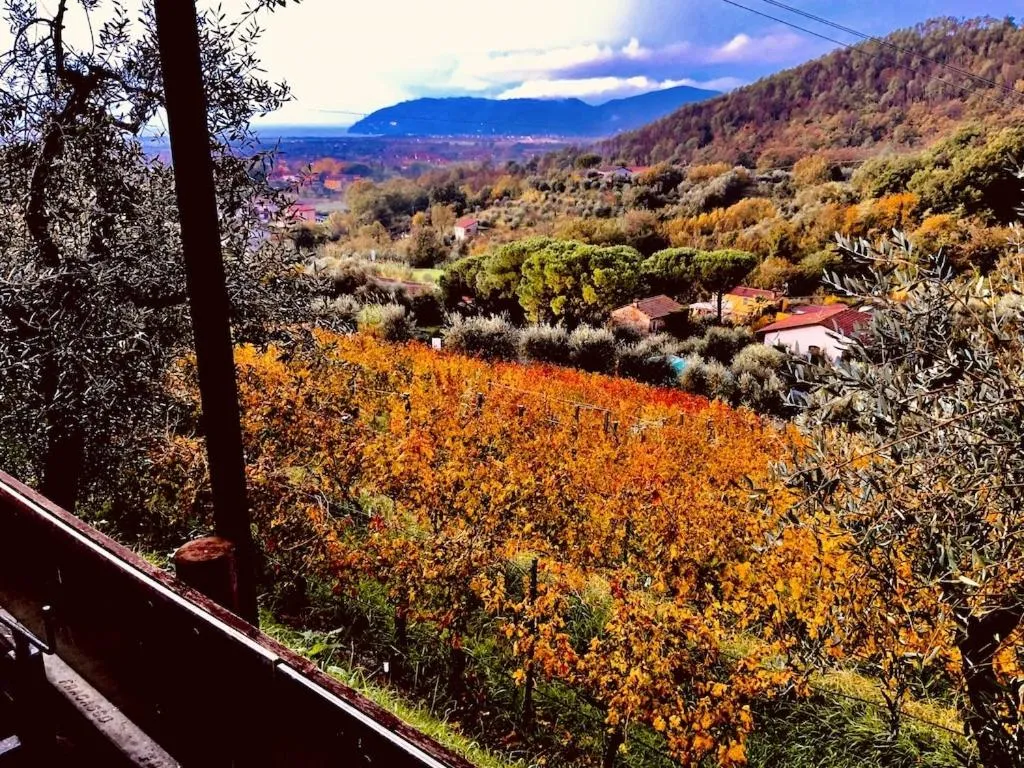 Agriturismo La Carreccia