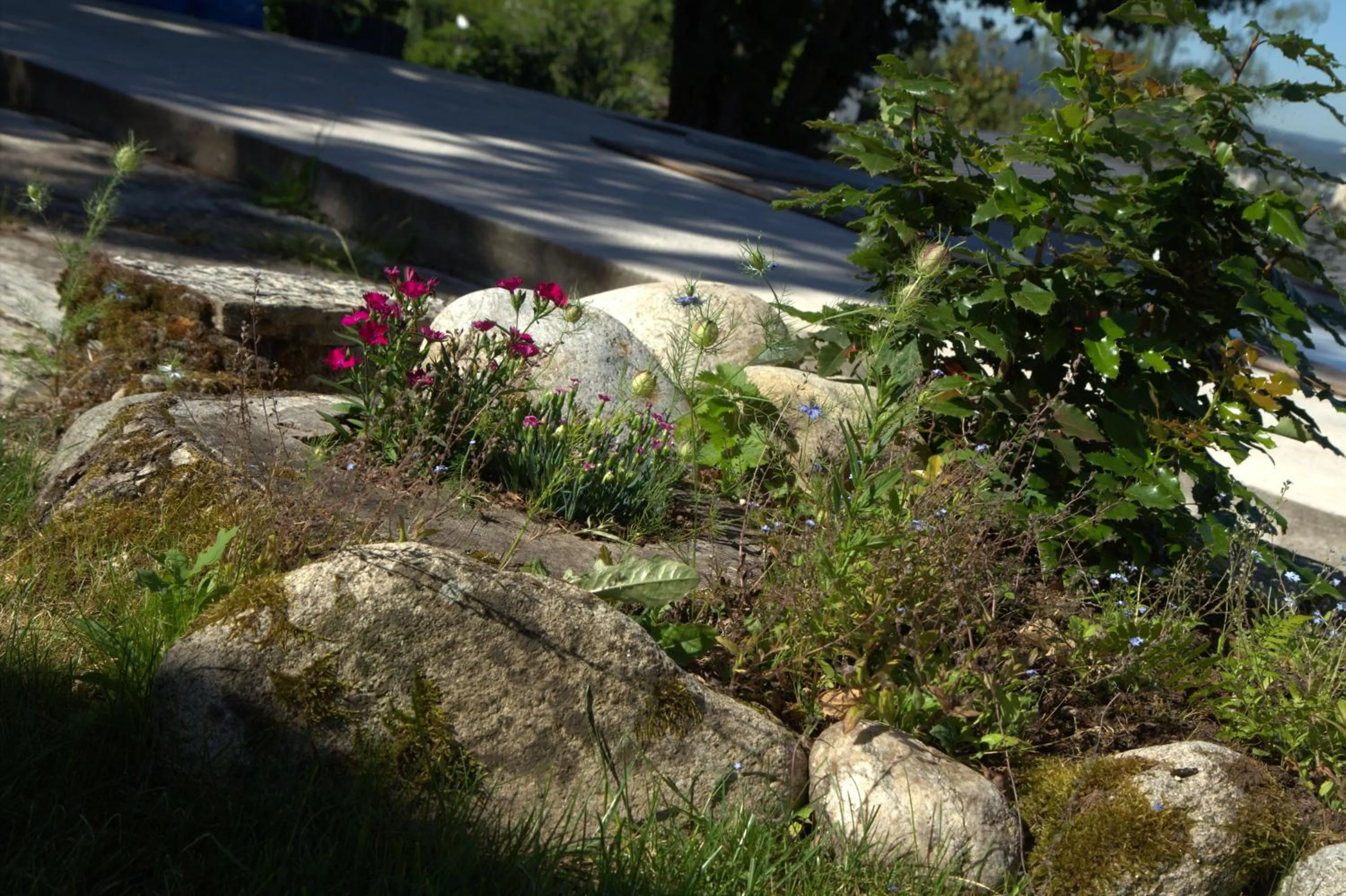 Garden view in Chambre BEAUSEJOUR