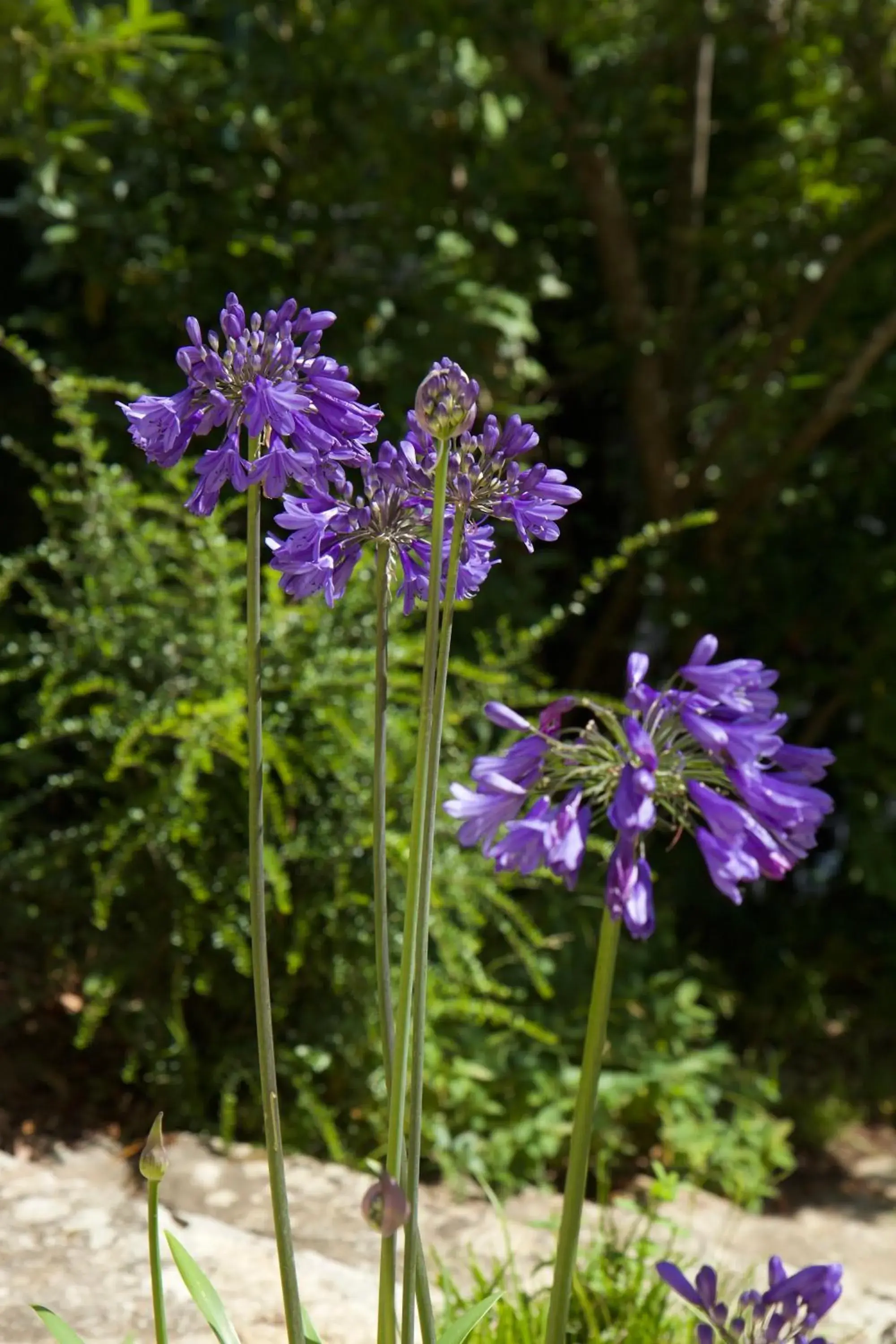 Double Room with Private Bathroom - single occupancy in Chambre BEAUSEJOUR Double Room with Private Bathroom - single occupancy in Chambre BEAUSEJOUR