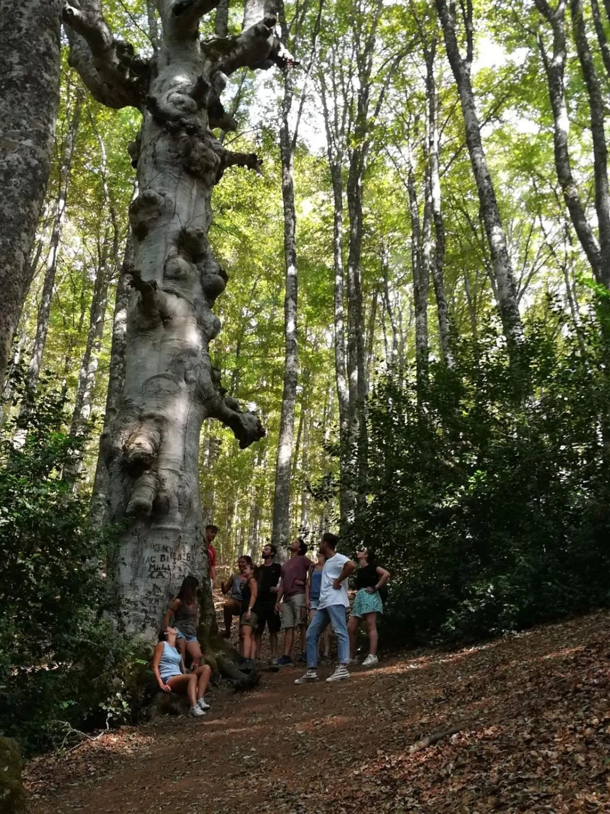 Hiking in B&B Petra Castalda