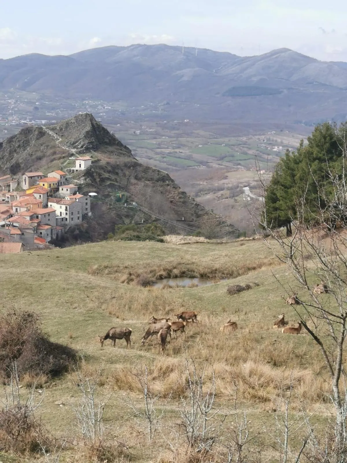 Nearby landmark in B&B Petra Castalda