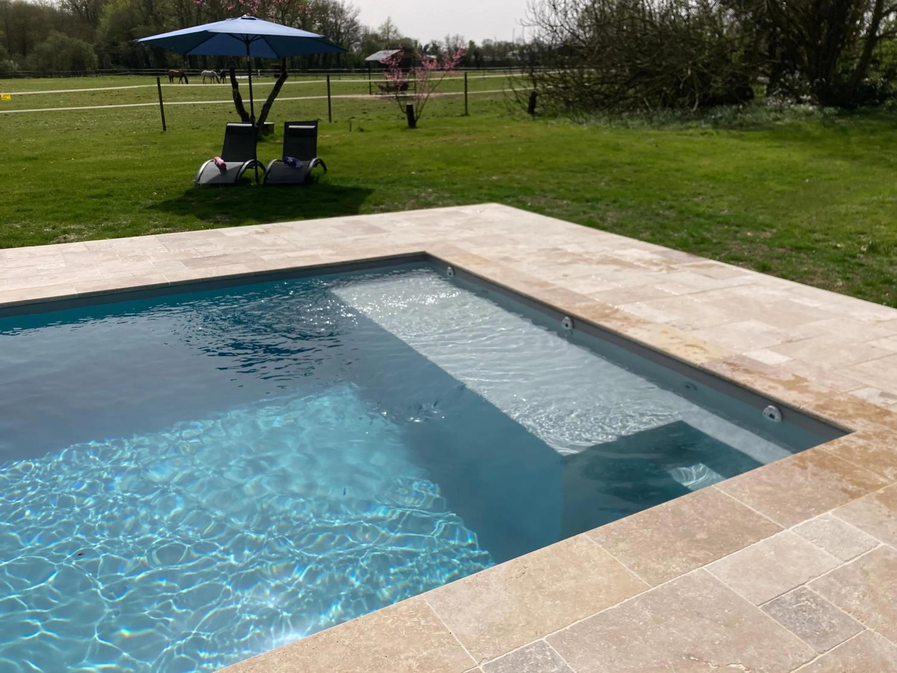 Garden in Château de la Preuille Bed & Breakfast