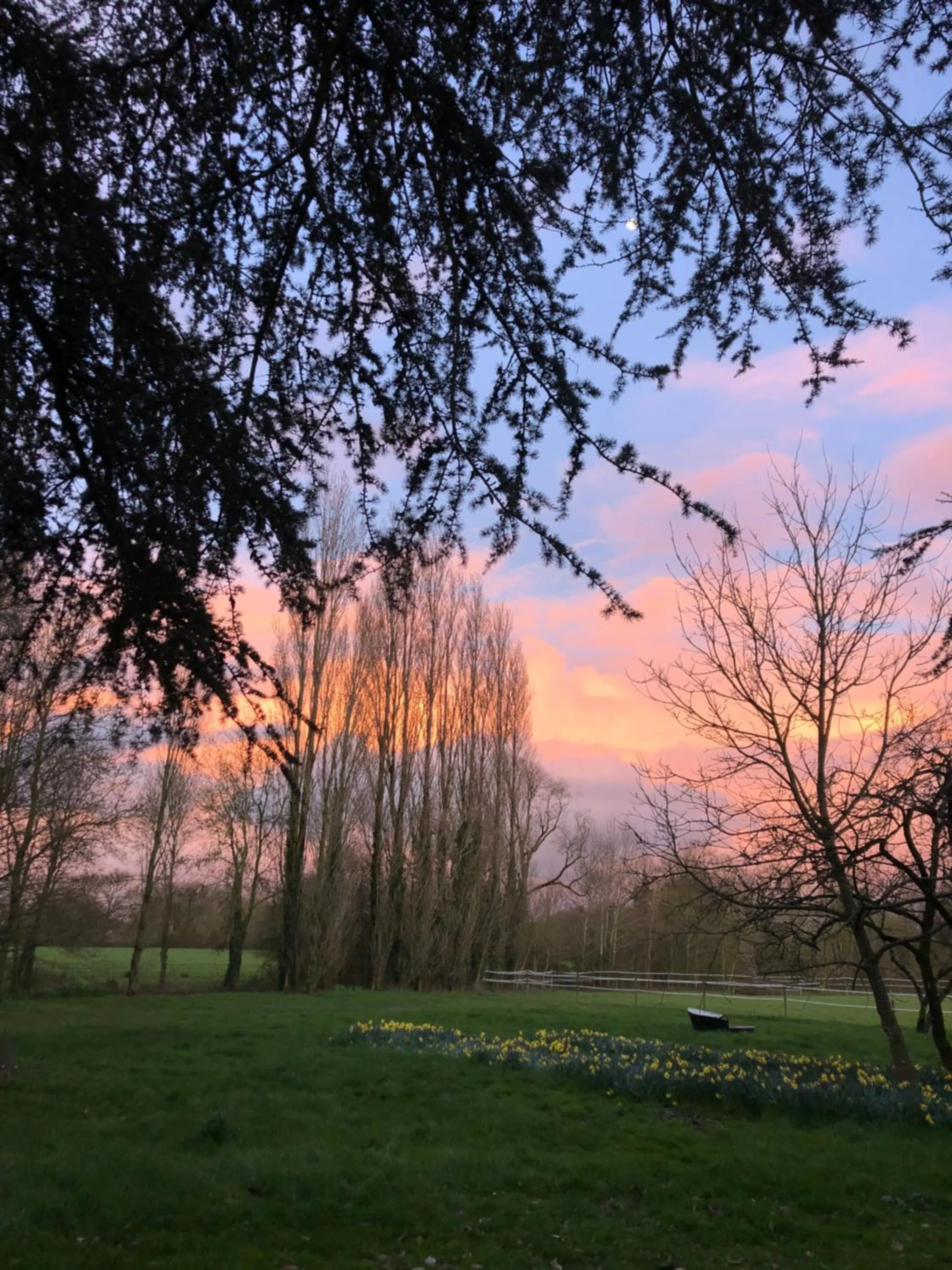 Natural landscape in Château de la Preuille Bed & Breakfast