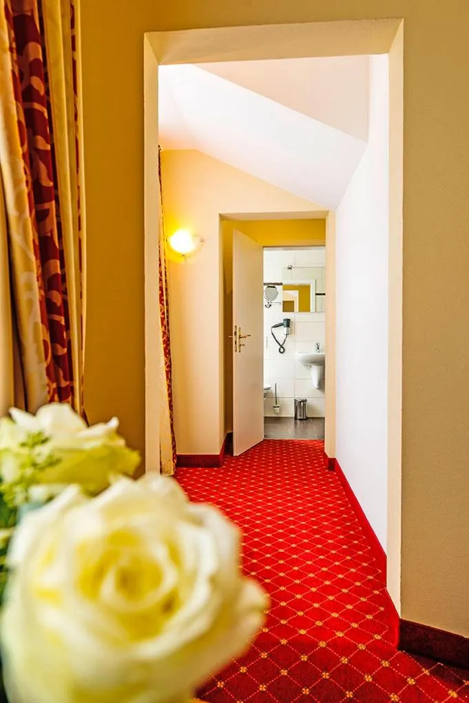 Other in Hotel Schweizer Hof - Superior