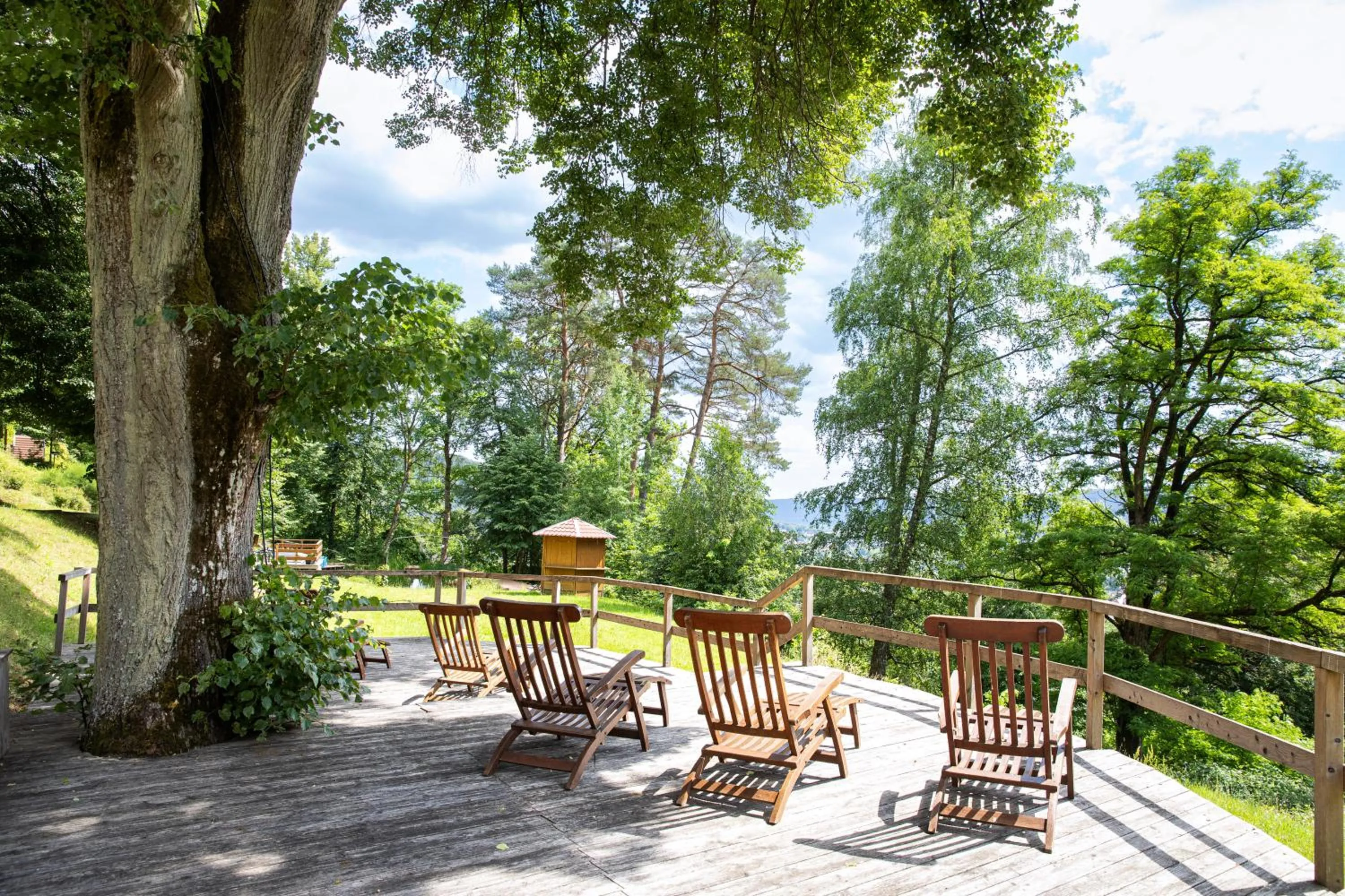 Area and facilities in Michel Hotel Franziskushöhe Lohr am Main