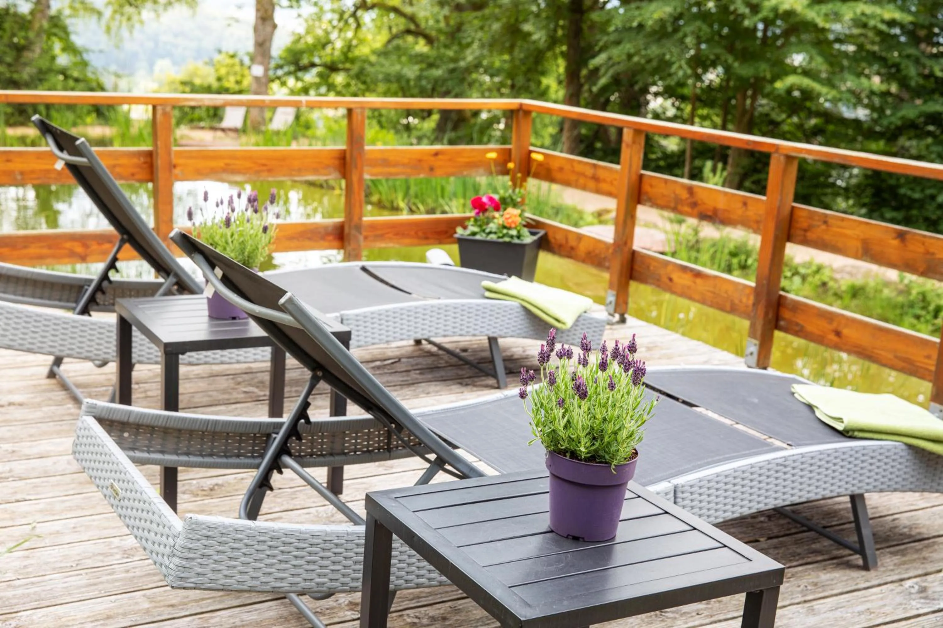 Area and facilities in Michel Hotel Franziskushöhe Lohr am Main