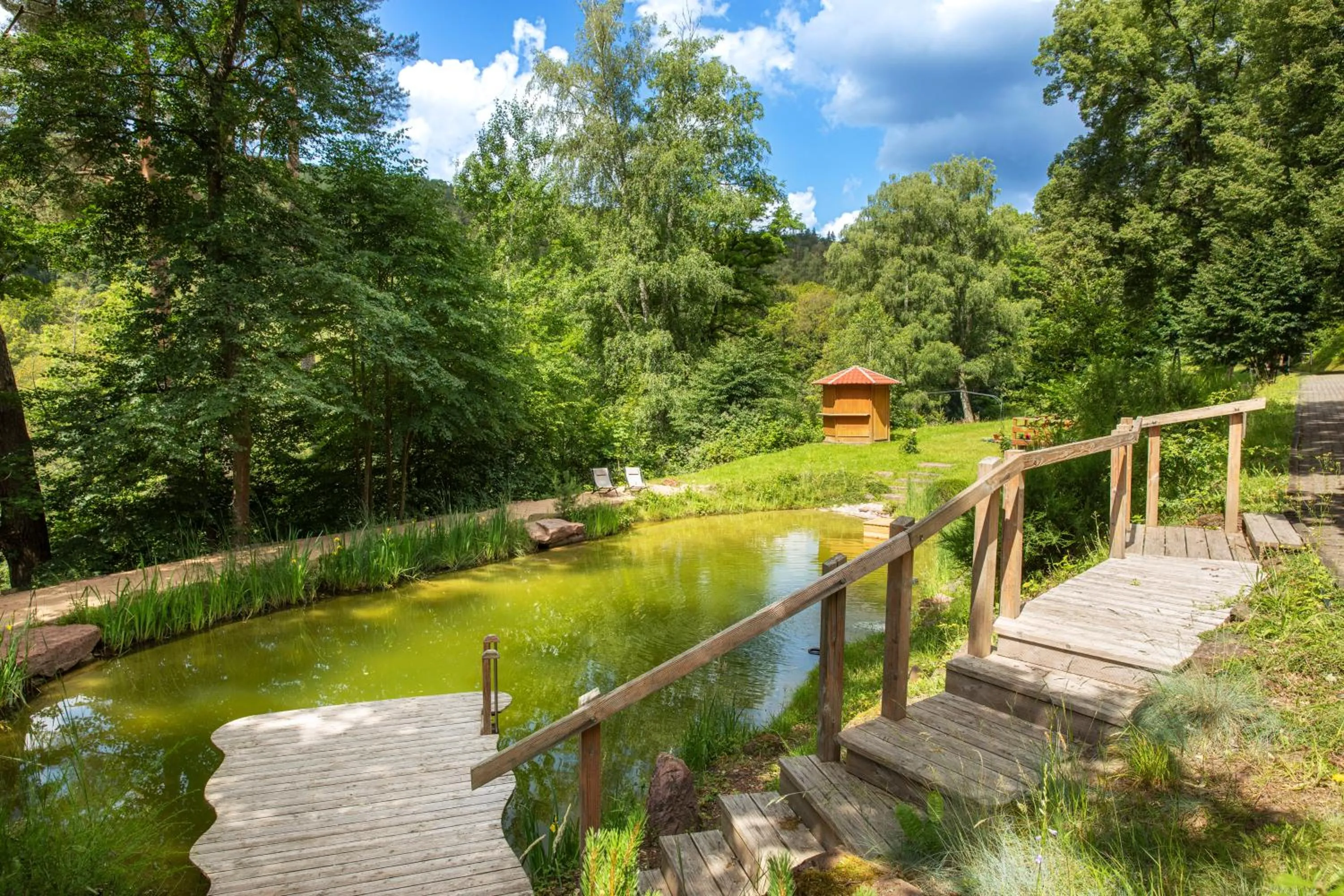 Area and facilities in Michel Hotel Franziskushöhe Lohr am Main