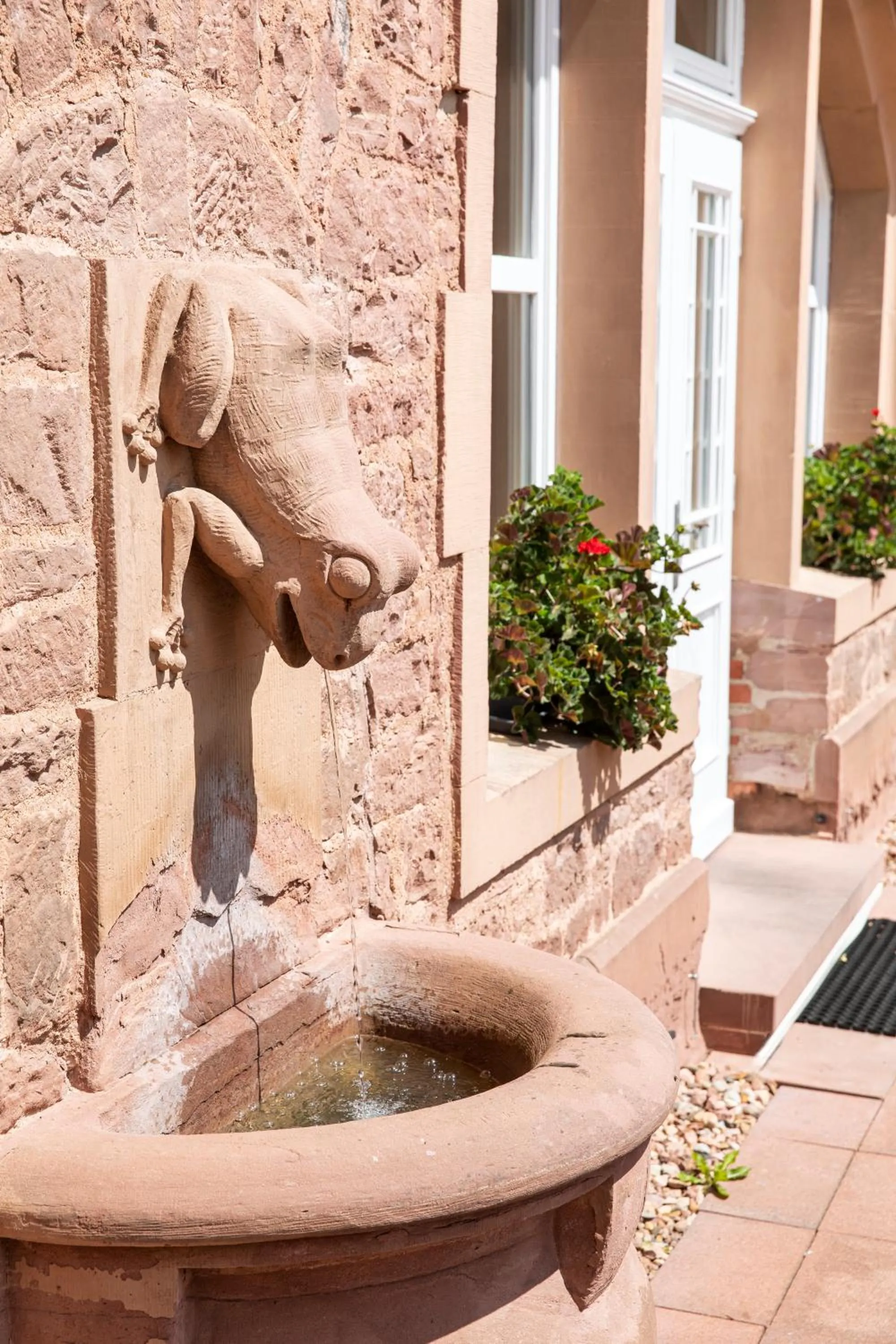 Area and facilities in Michel Hotel Franziskushöhe Lohr am Main