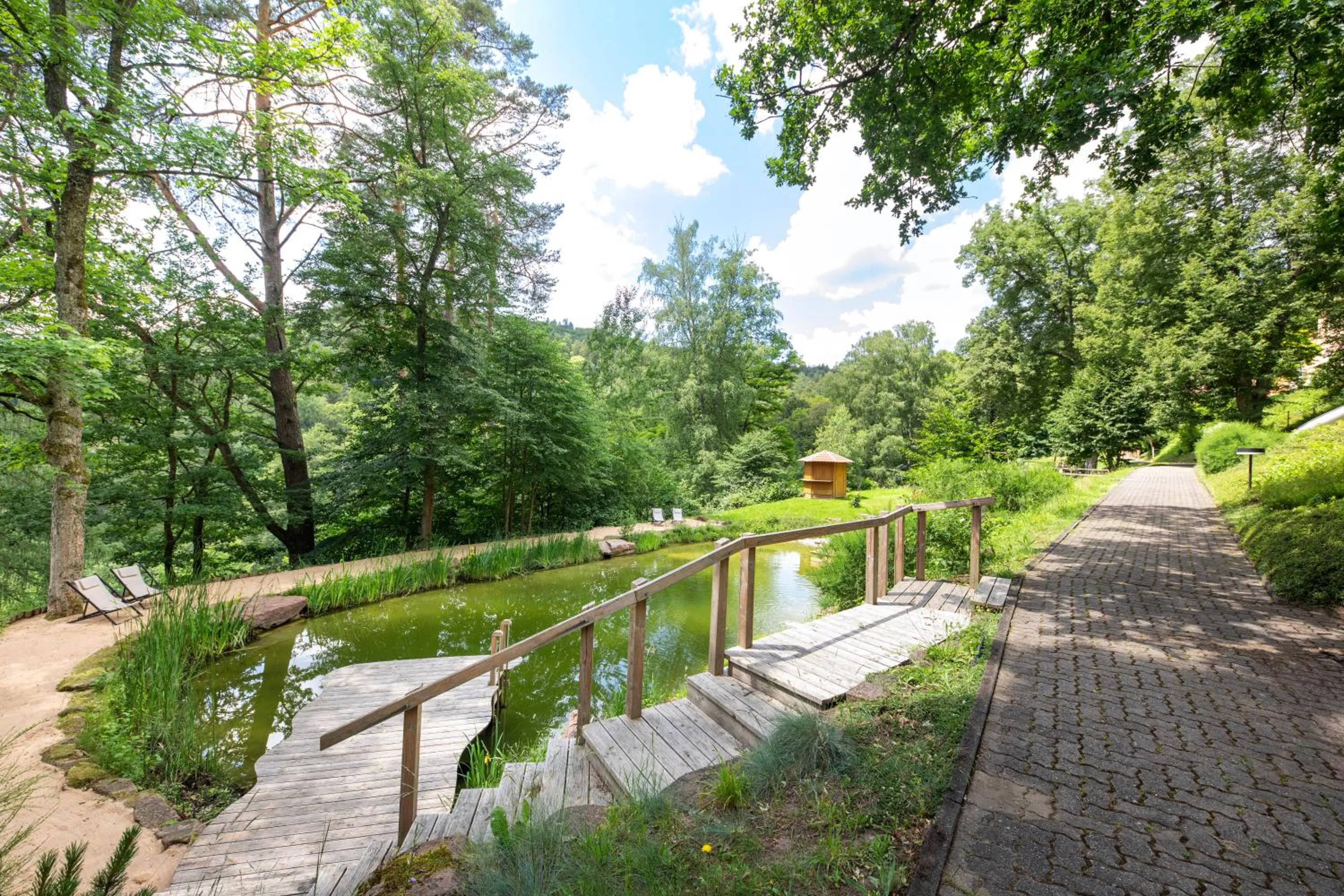 Area and facilities in Michel Hotel Franziskushöhe Lohr am Main