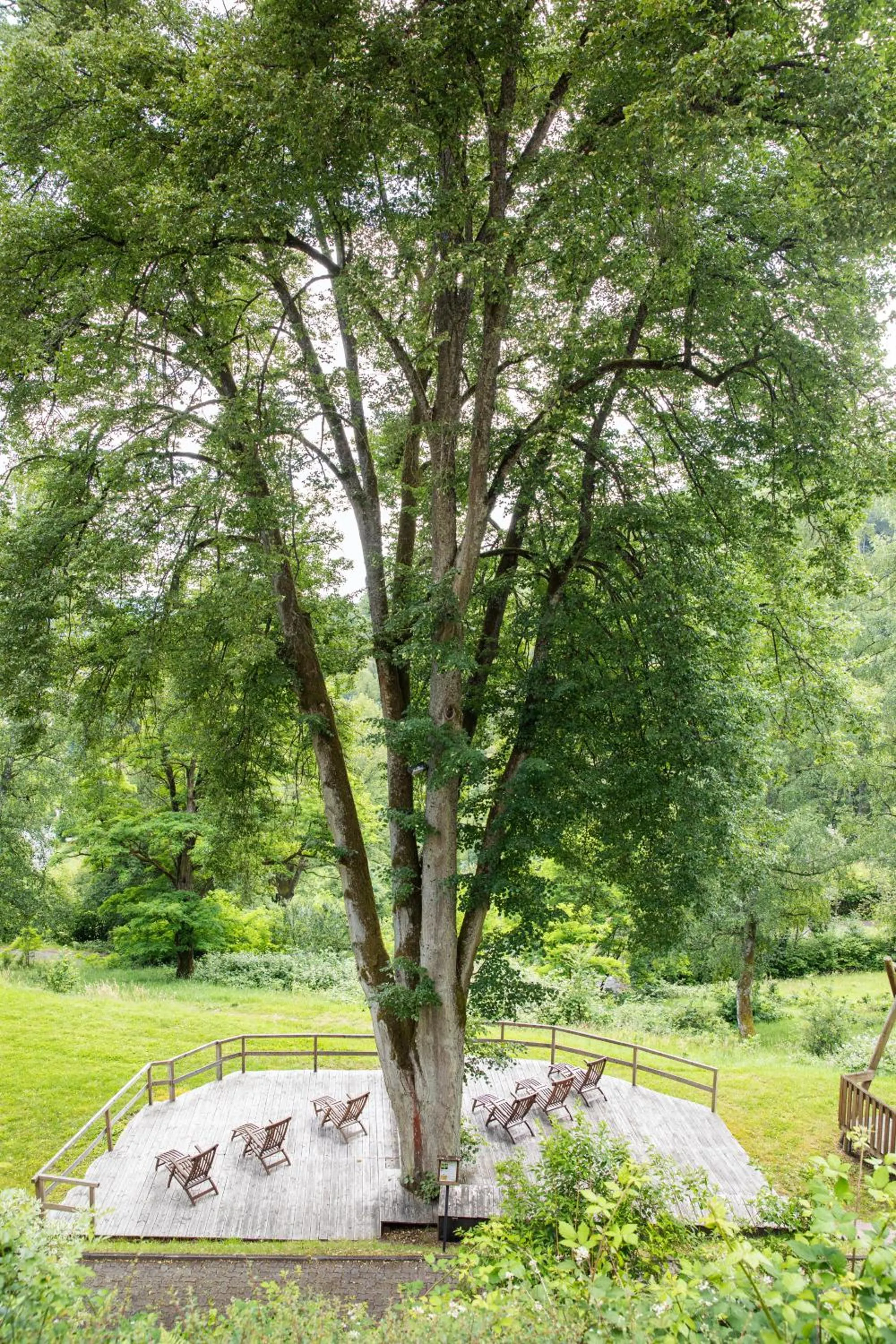 Area and facilities in Michel Hotel Franziskushöhe Lohr am Main