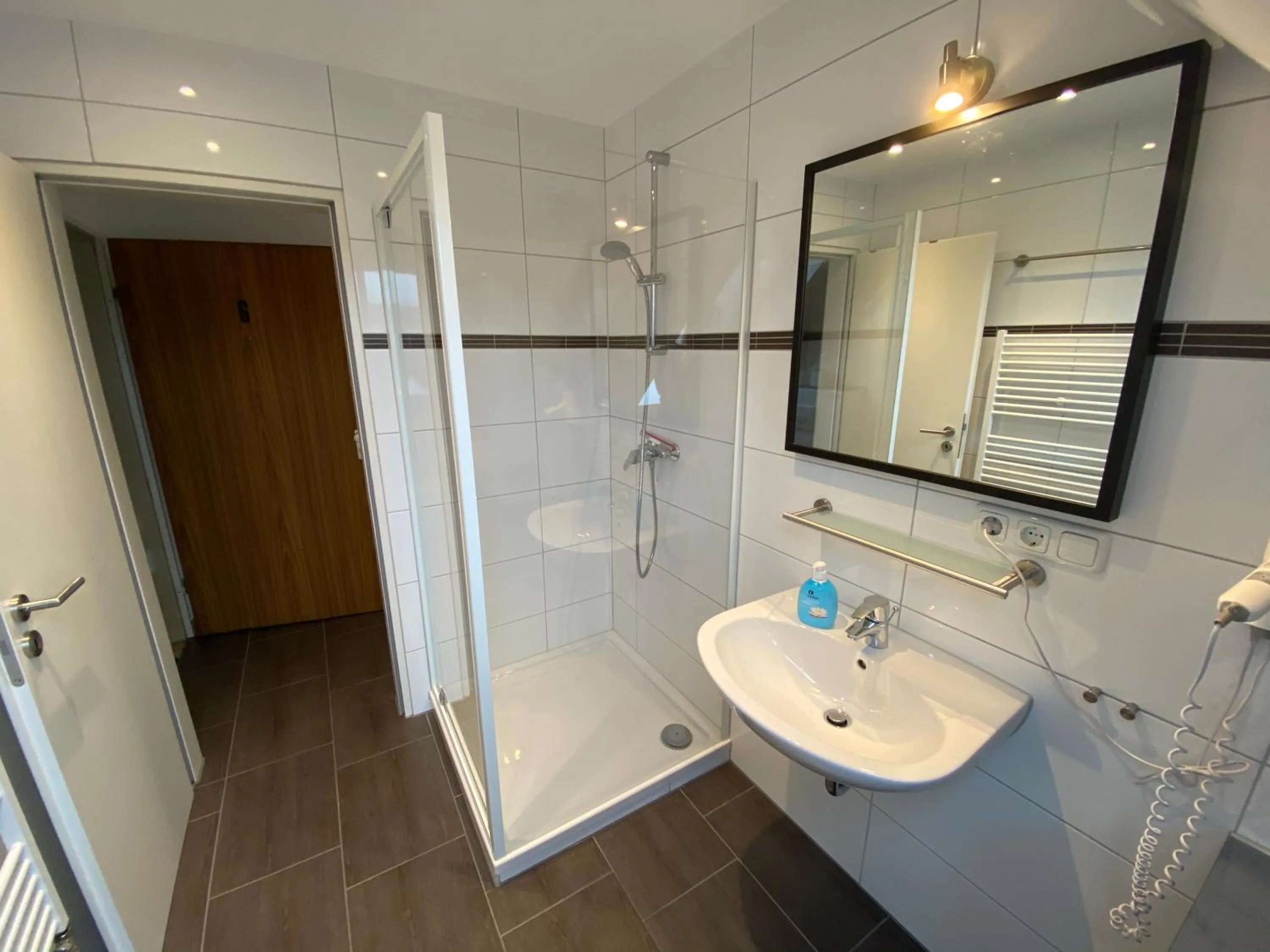 Shower, Bathroom in Harzidyll