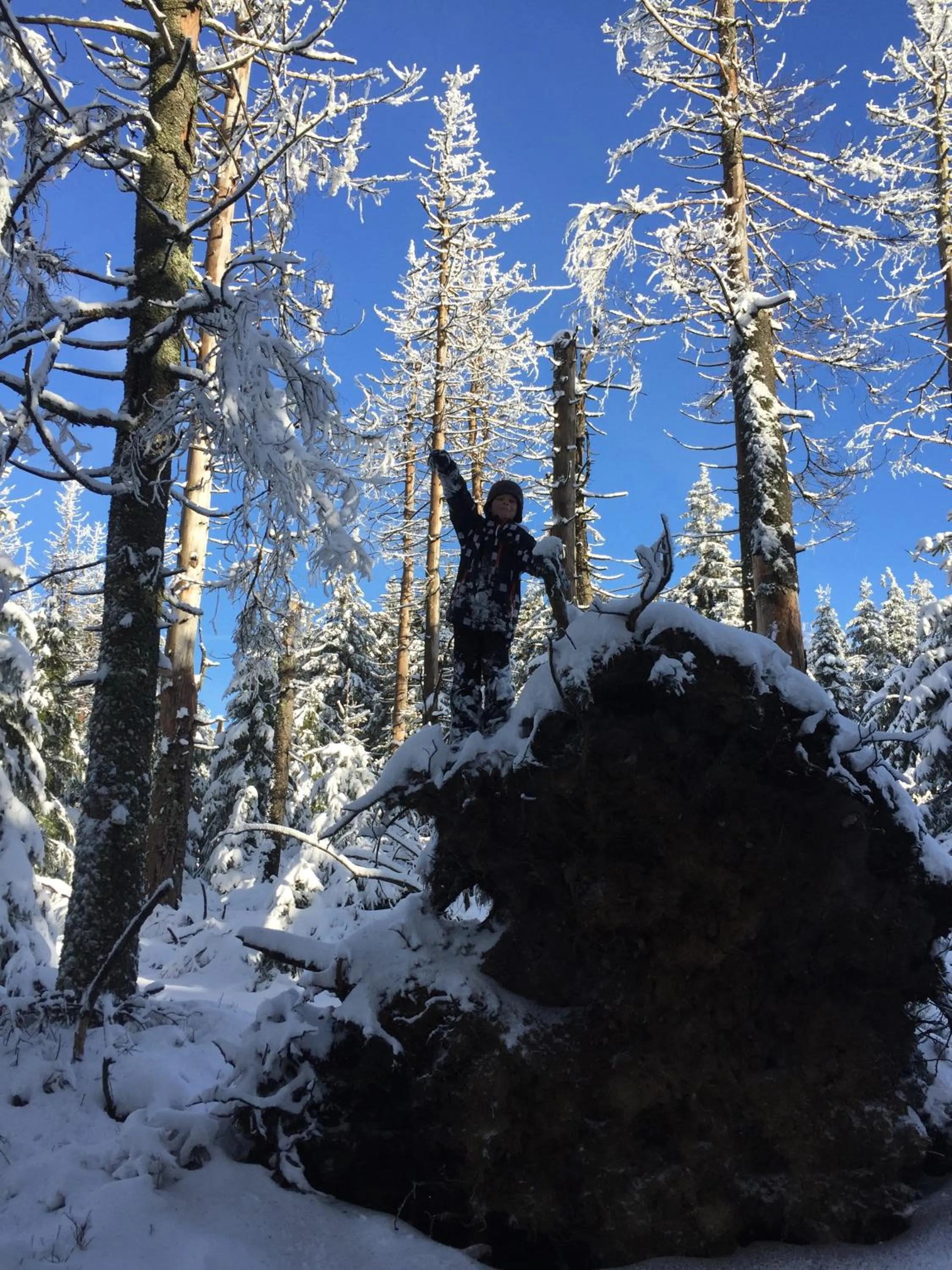 Natural landscape, Winter in Harzidyll