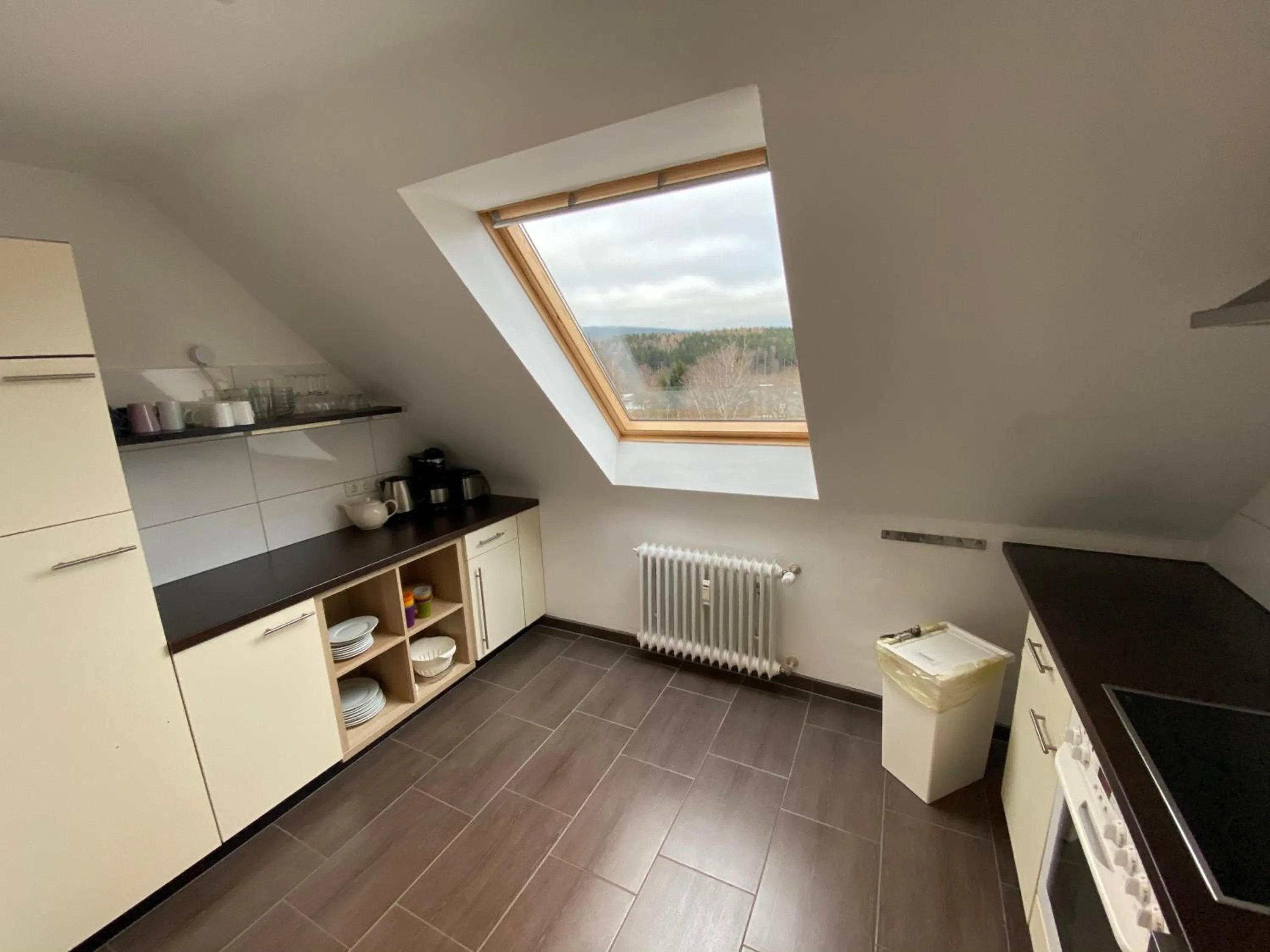 Kitchen or kitchenette, Kitchen/Kitchenette in Harzidyll