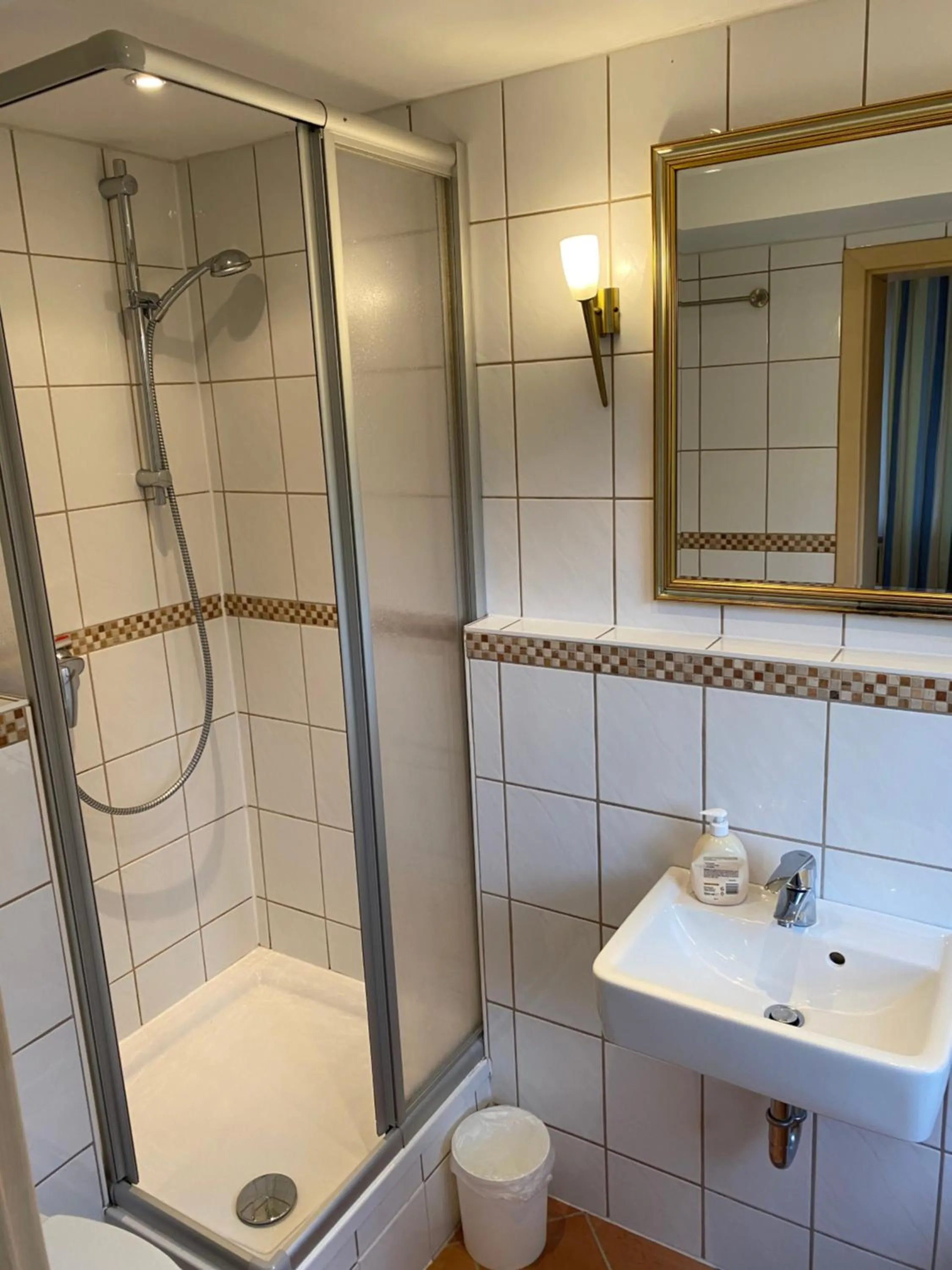 Shower, Bathroom in Harzidyll
