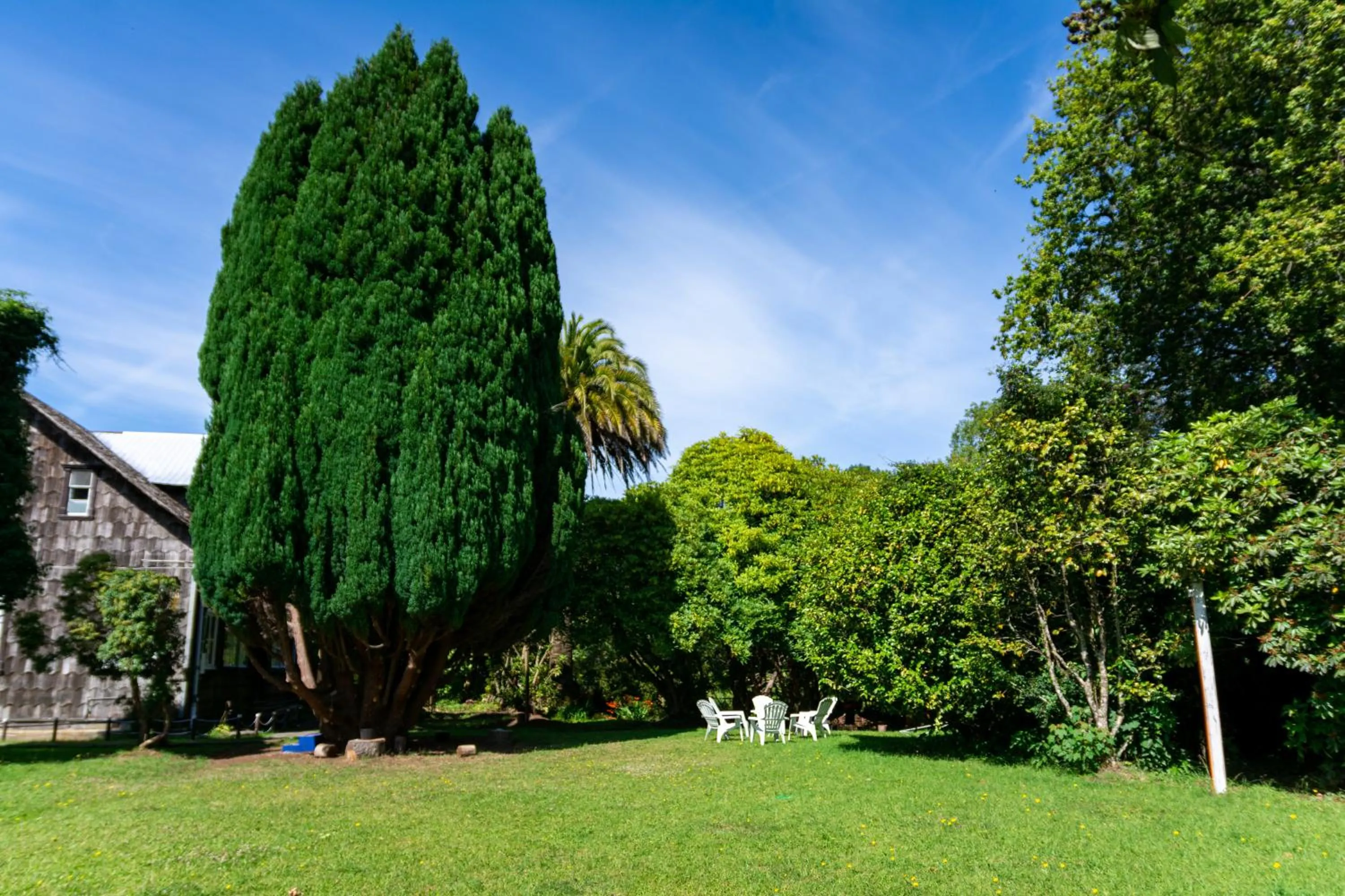 Patio in Casona Alemana