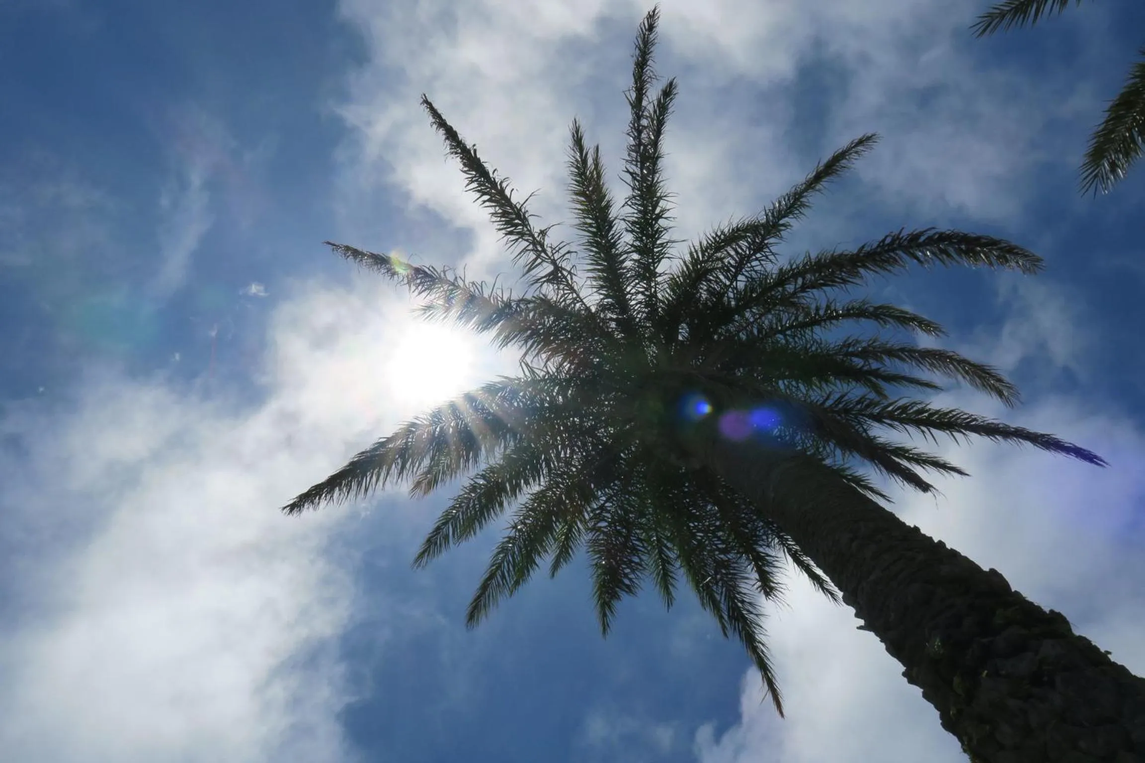 Other in Roconia Terrace