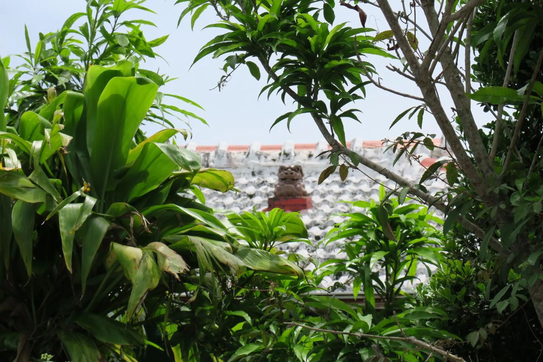 Other in Roconia Terrace