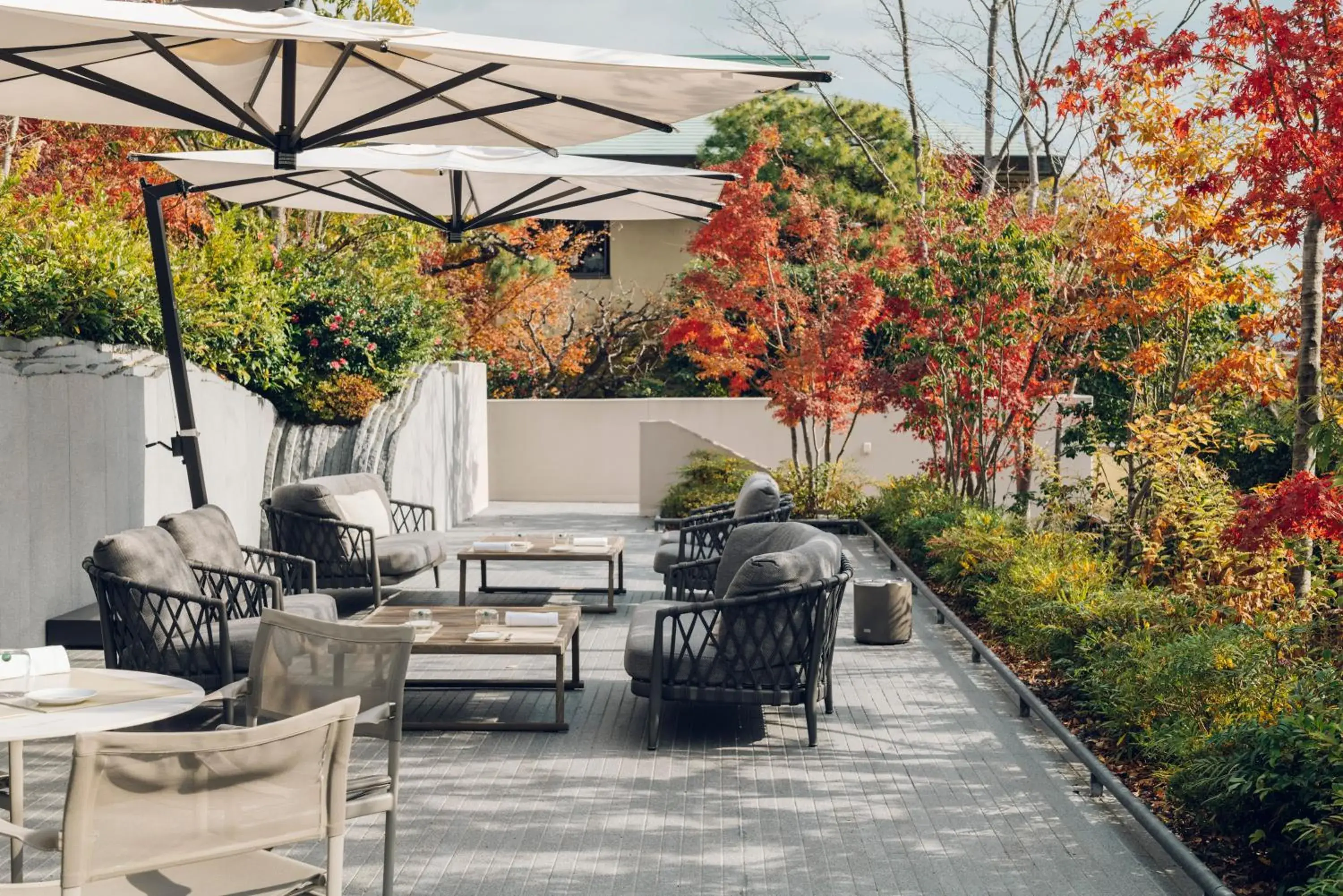 Restaurant/places to eat in Muni Kyoto Restaurant/places to eat in Muni Kyoto