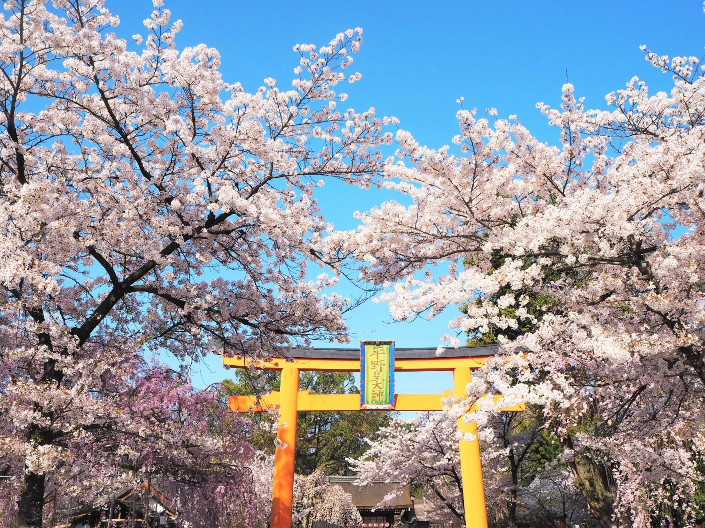 Nearby landmark in Muni Kyoto