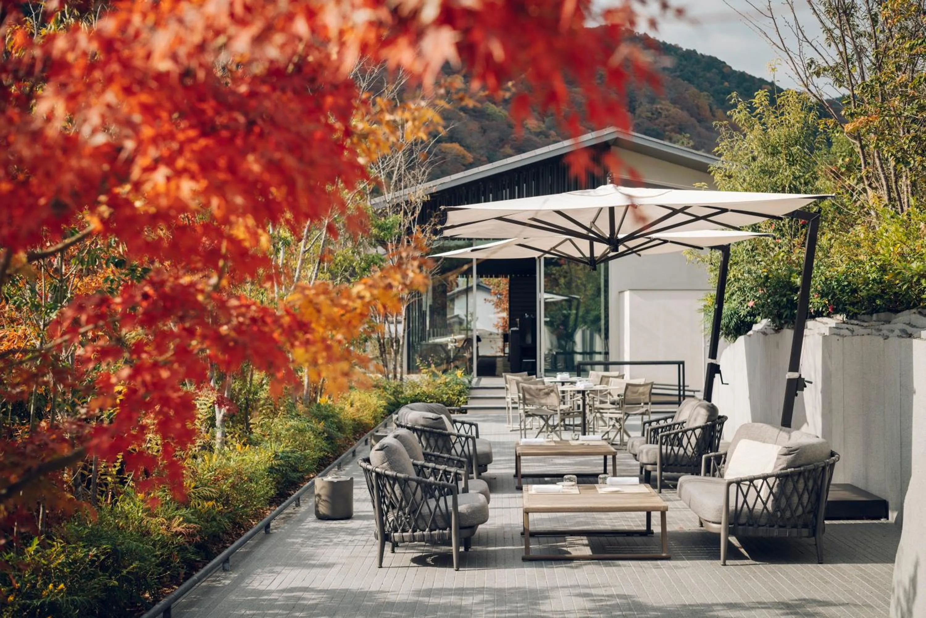 Restaurant/places to eat in Muni Kyoto