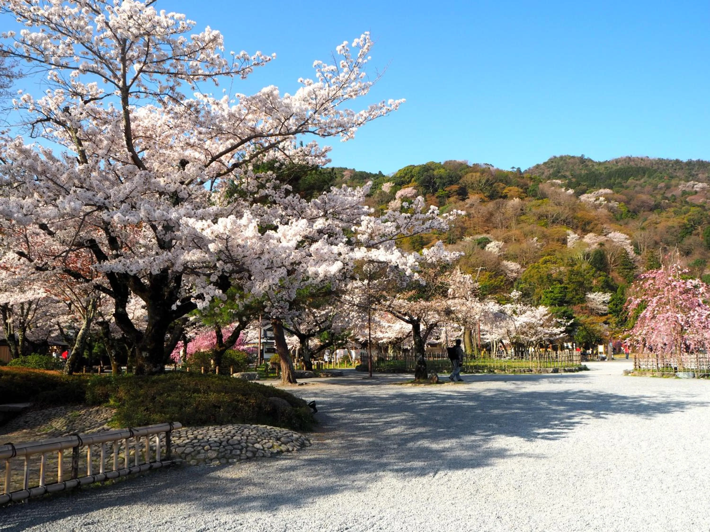 Nearby landmark in Muni Kyoto