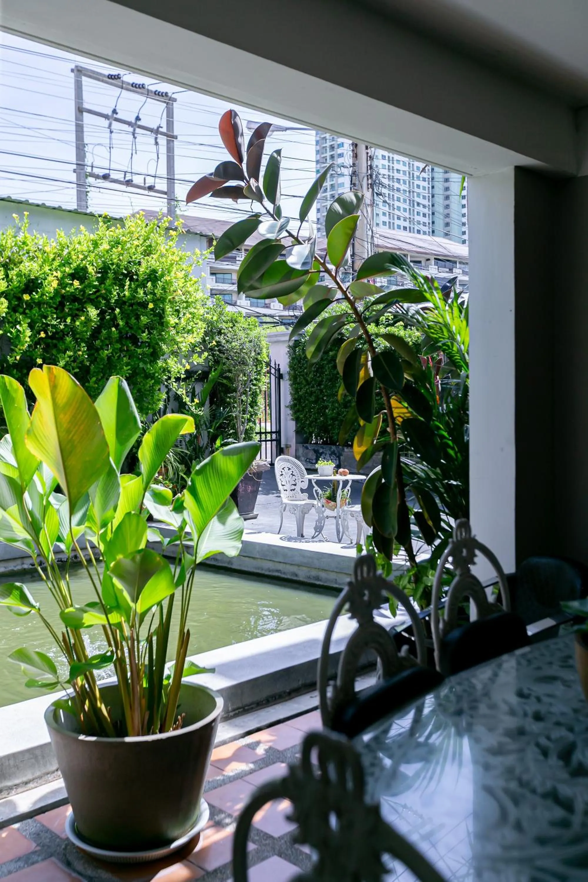Garden view in Wong Amat House