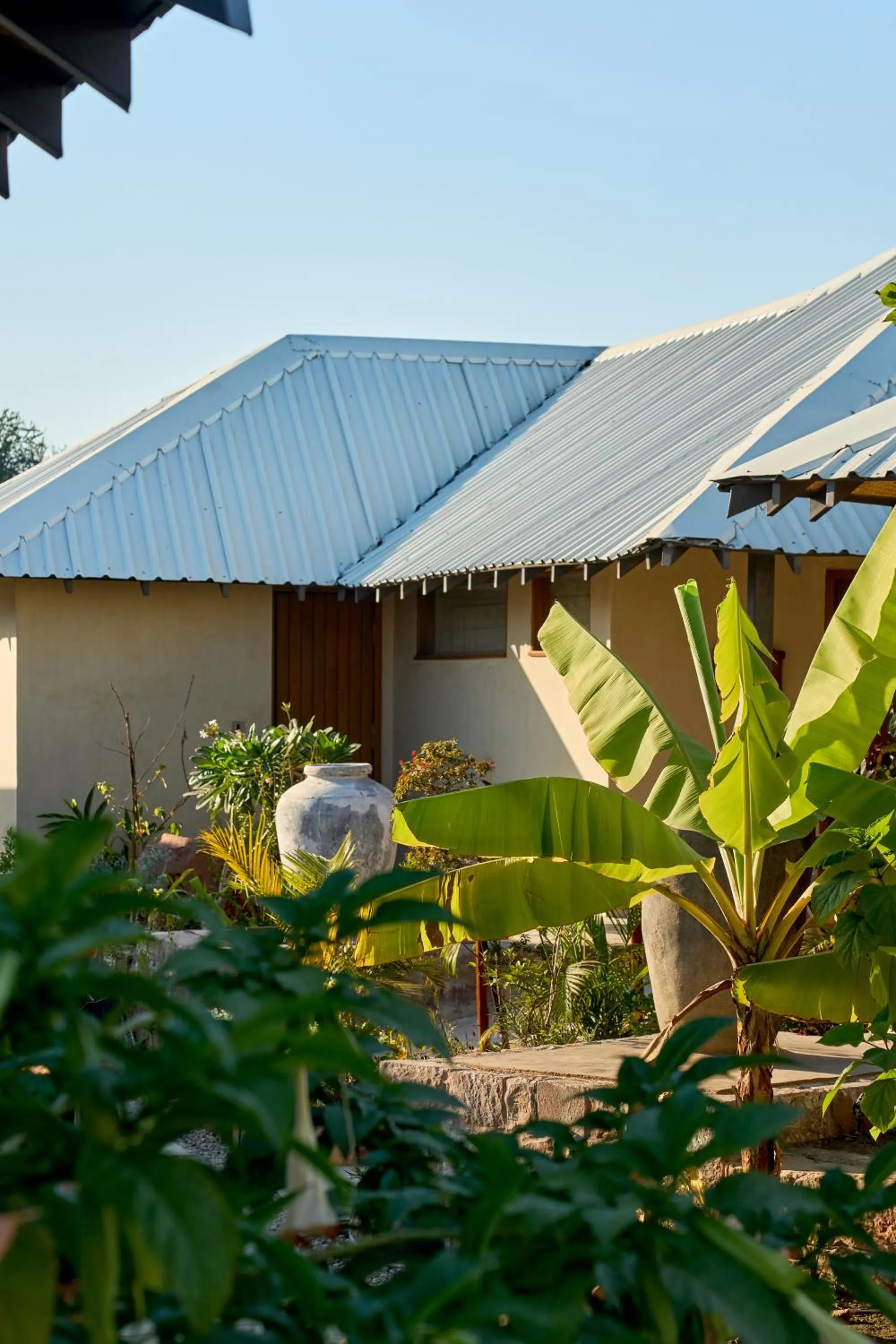 Property building in Shambhala