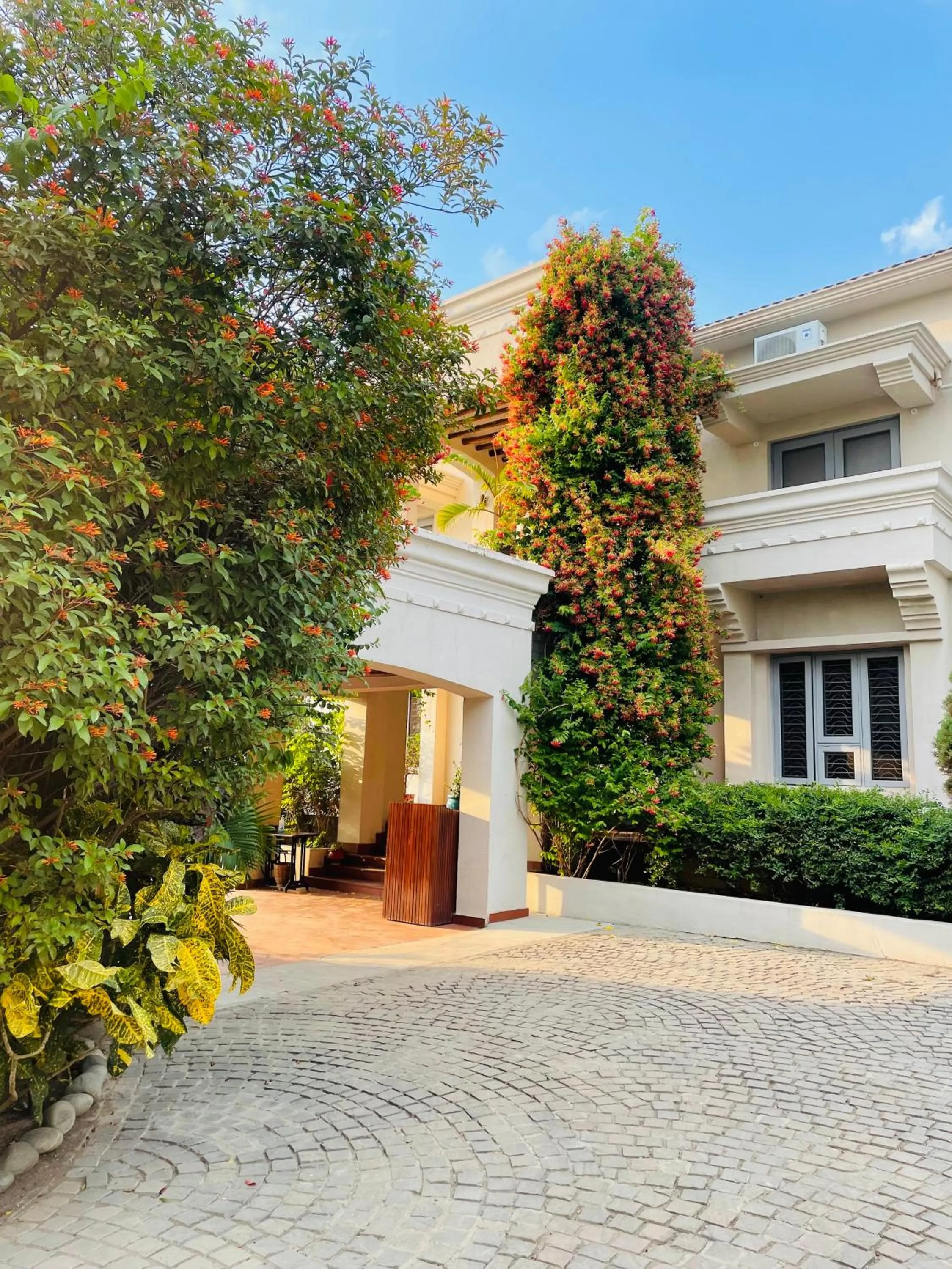 Property building in Shambhala