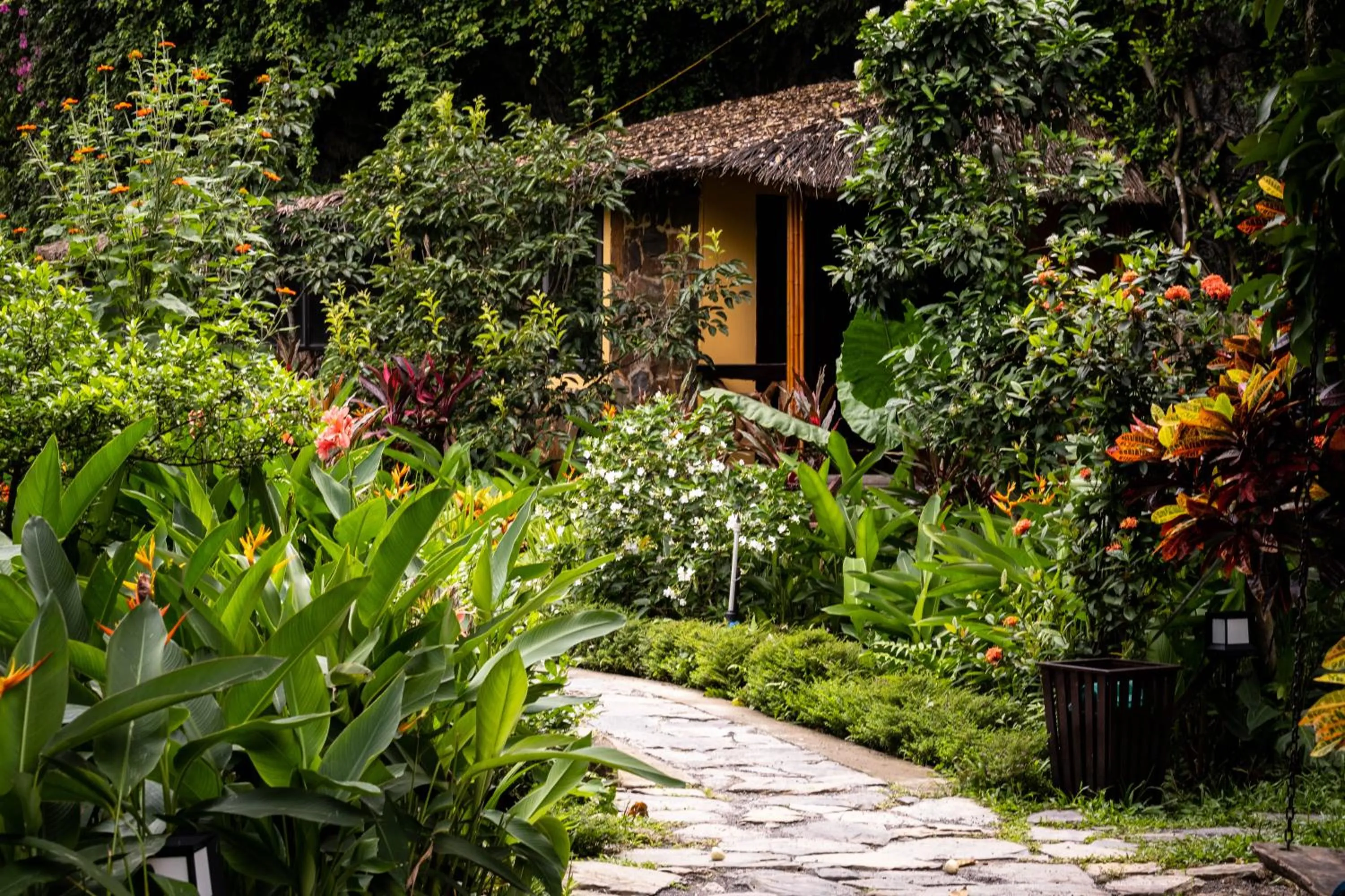 Property building in Trang An Ecolodge