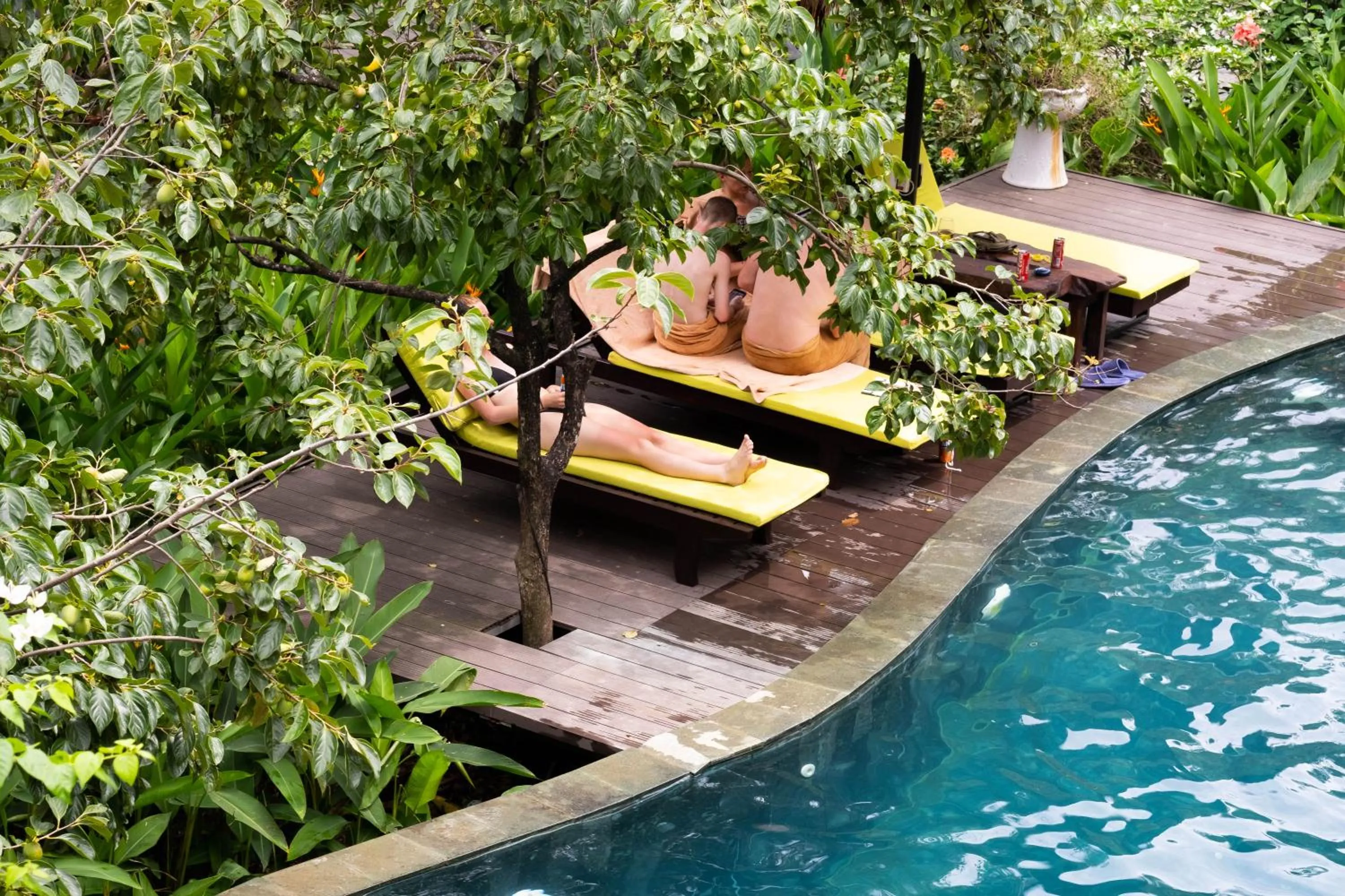 Natural landscape in Trang An Ecolodge