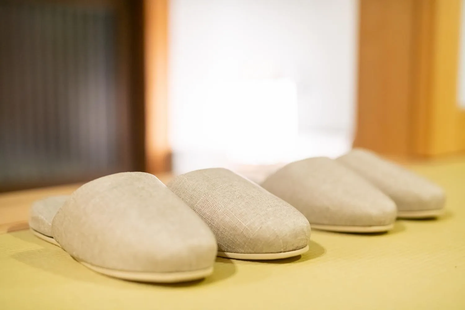 Other in REN Kitamatsunoki