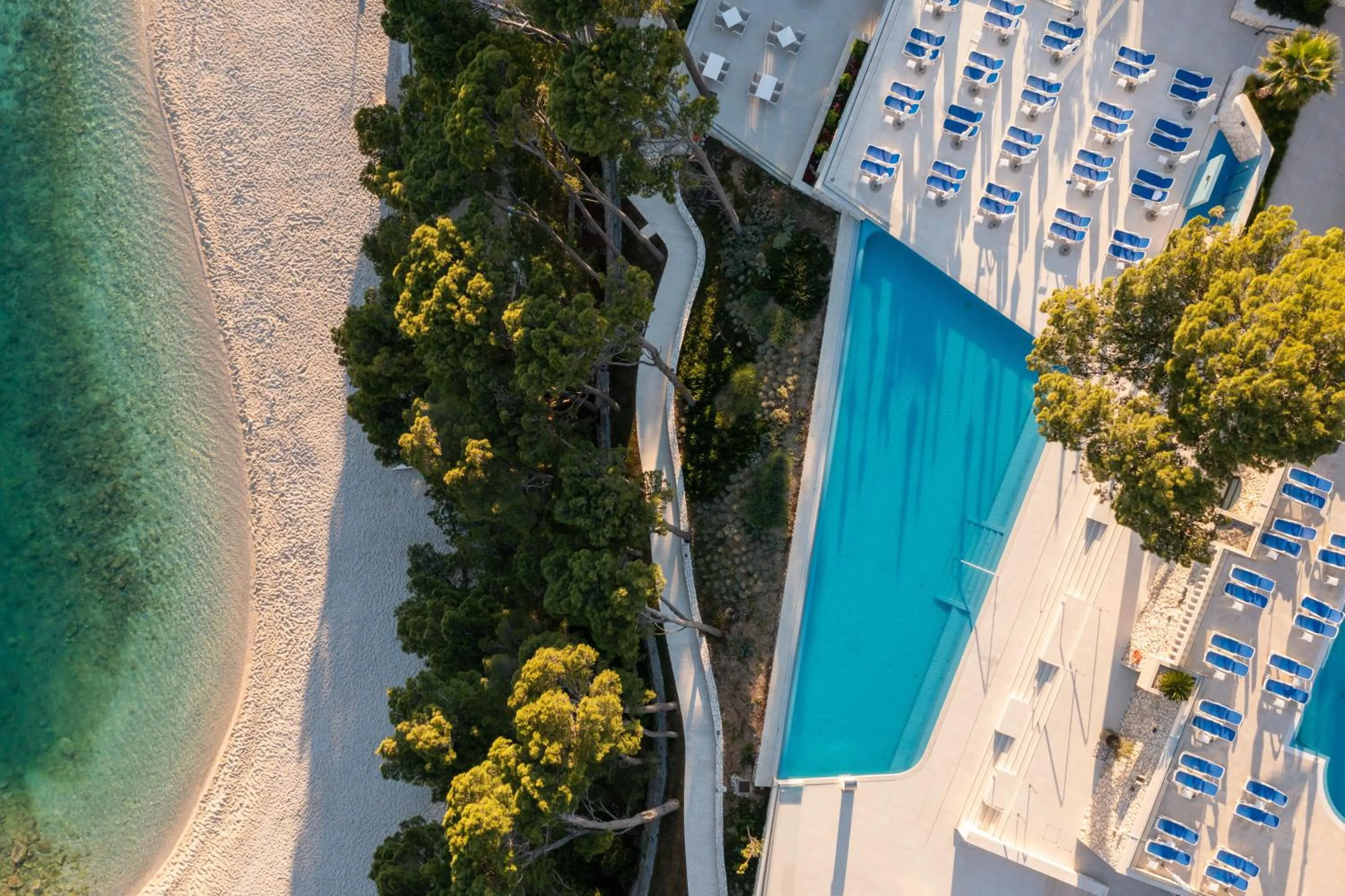Swimming pool in Bluesun Mala Berulia