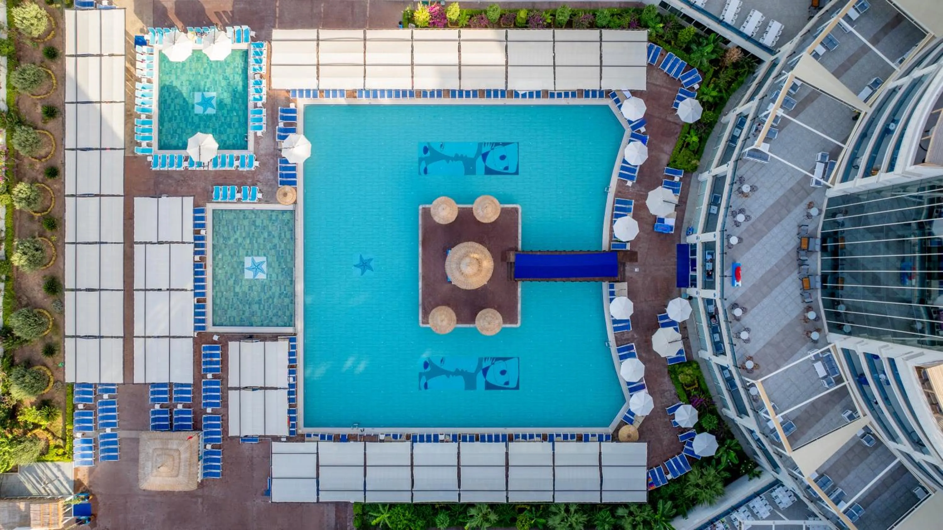 Day in Maxeria Blue Didyma