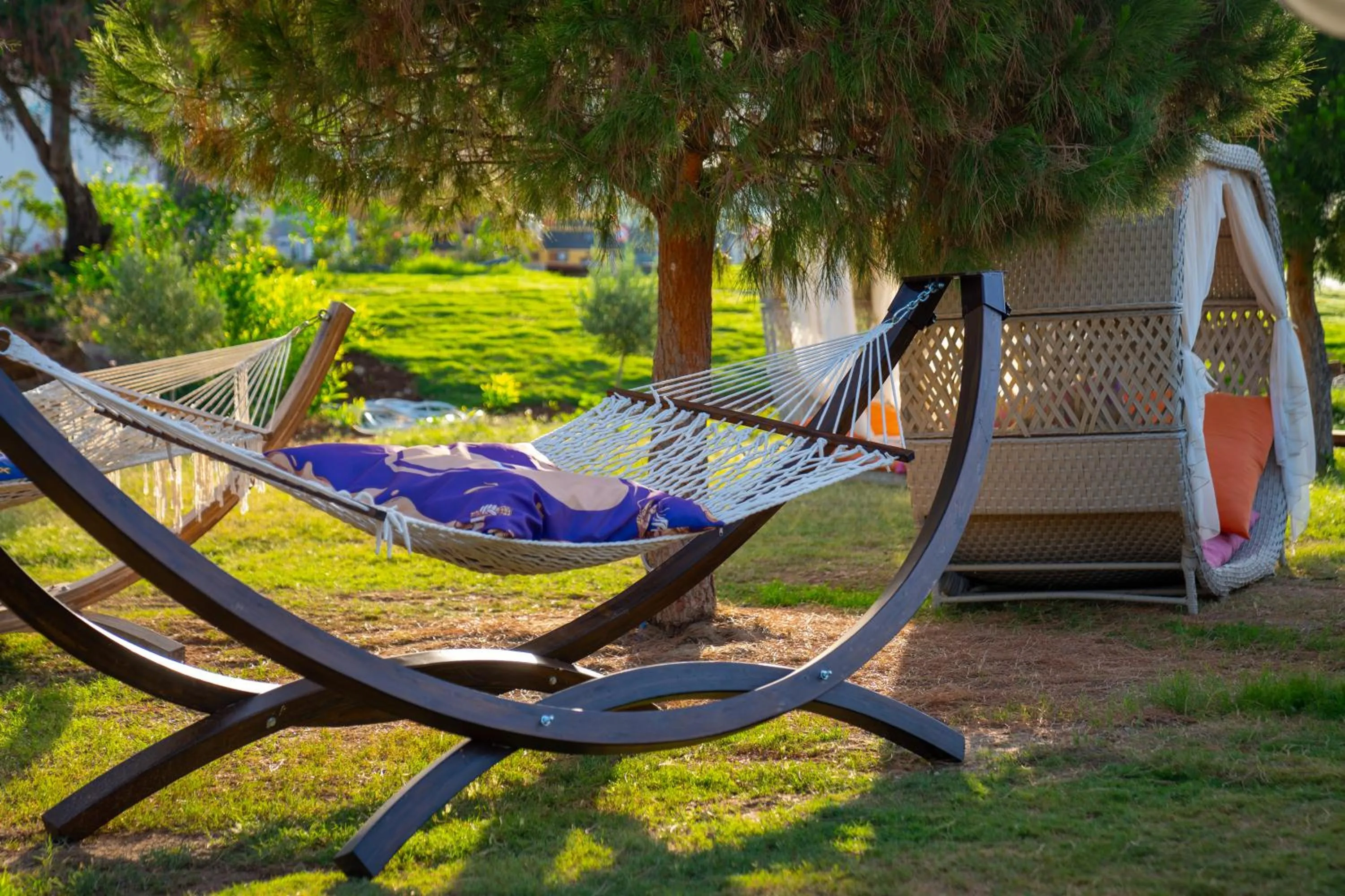 Spring in Maxeria Blue Didyma