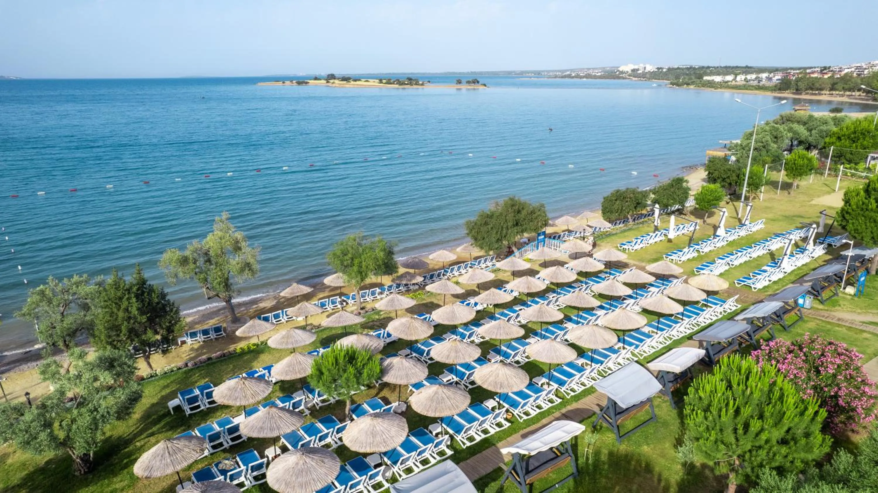 Day in Maxeria Blue Didyma