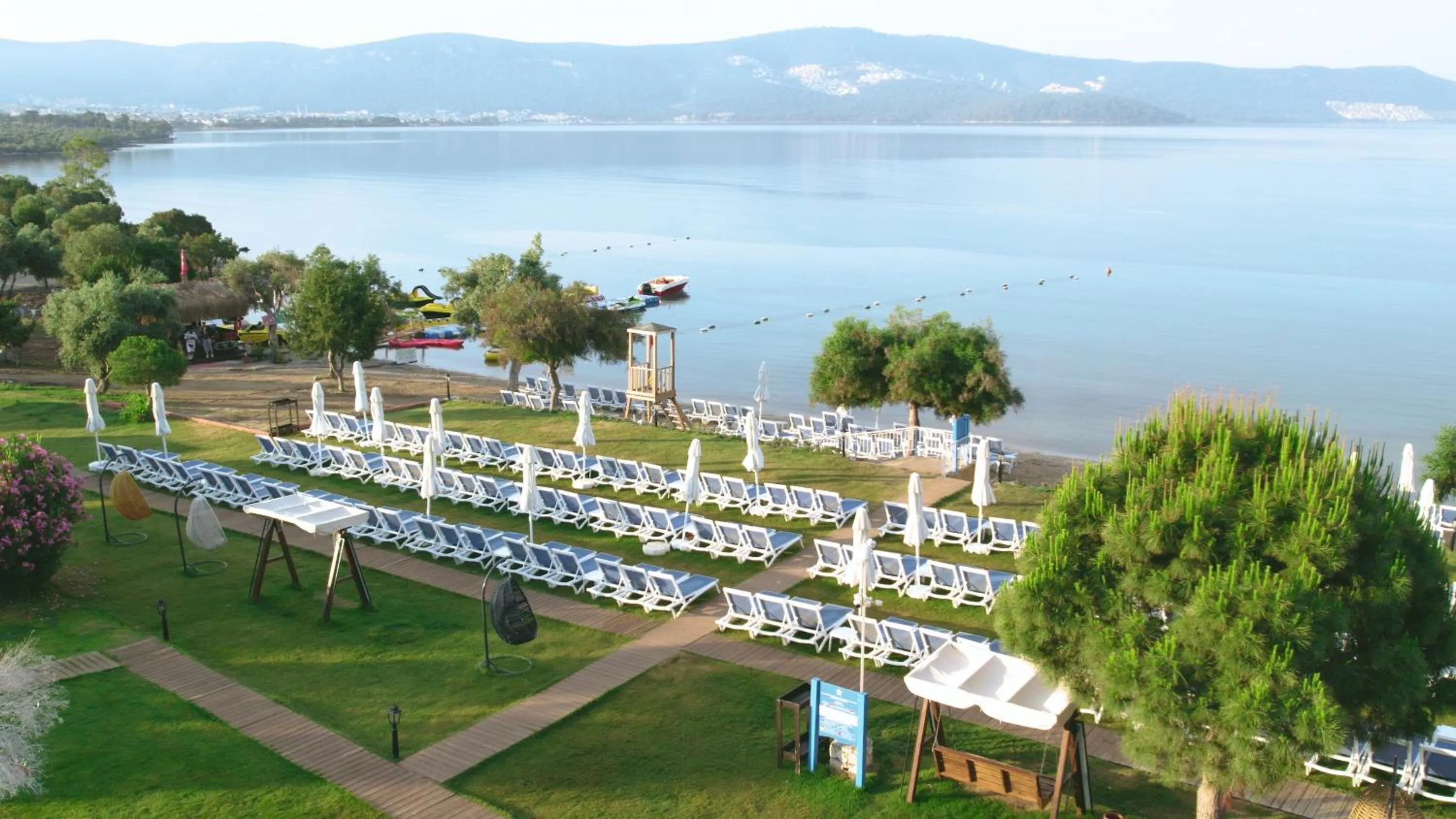 Day in Maxeria Blue Didyma