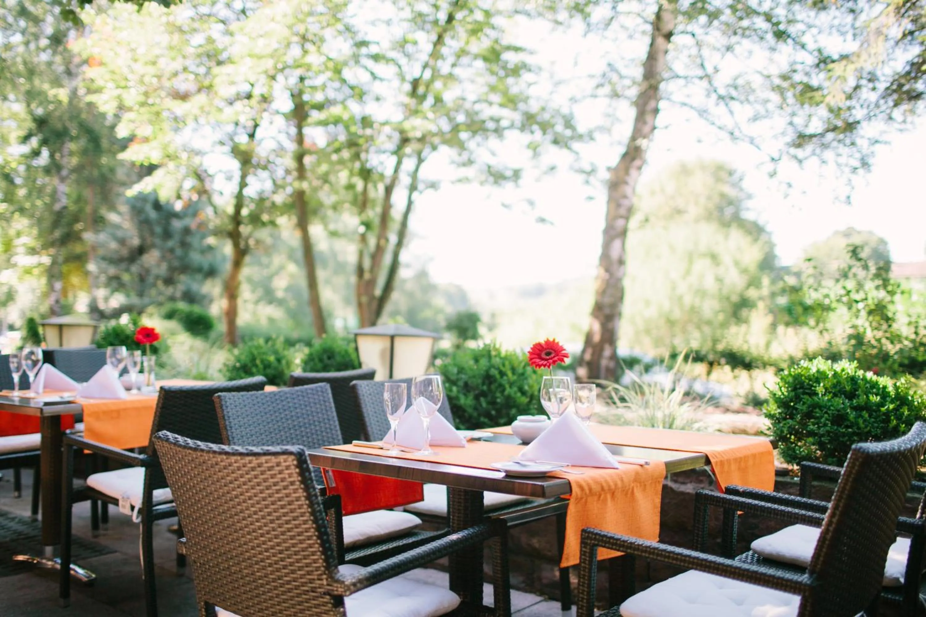 Restaurant/places to eat in relexa hotel Schatten Stuttgart