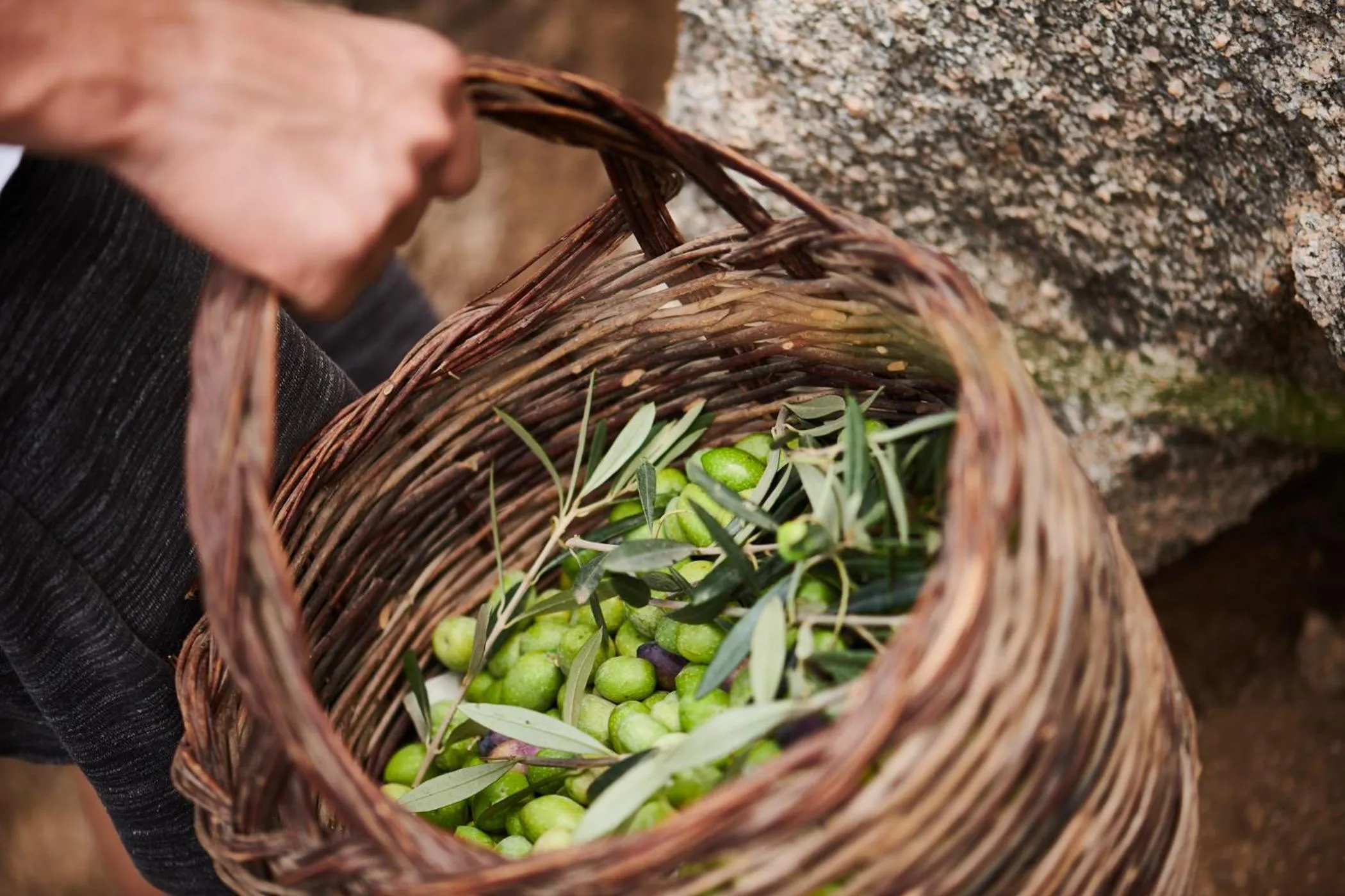 Food in Cascioni Eco Retreat