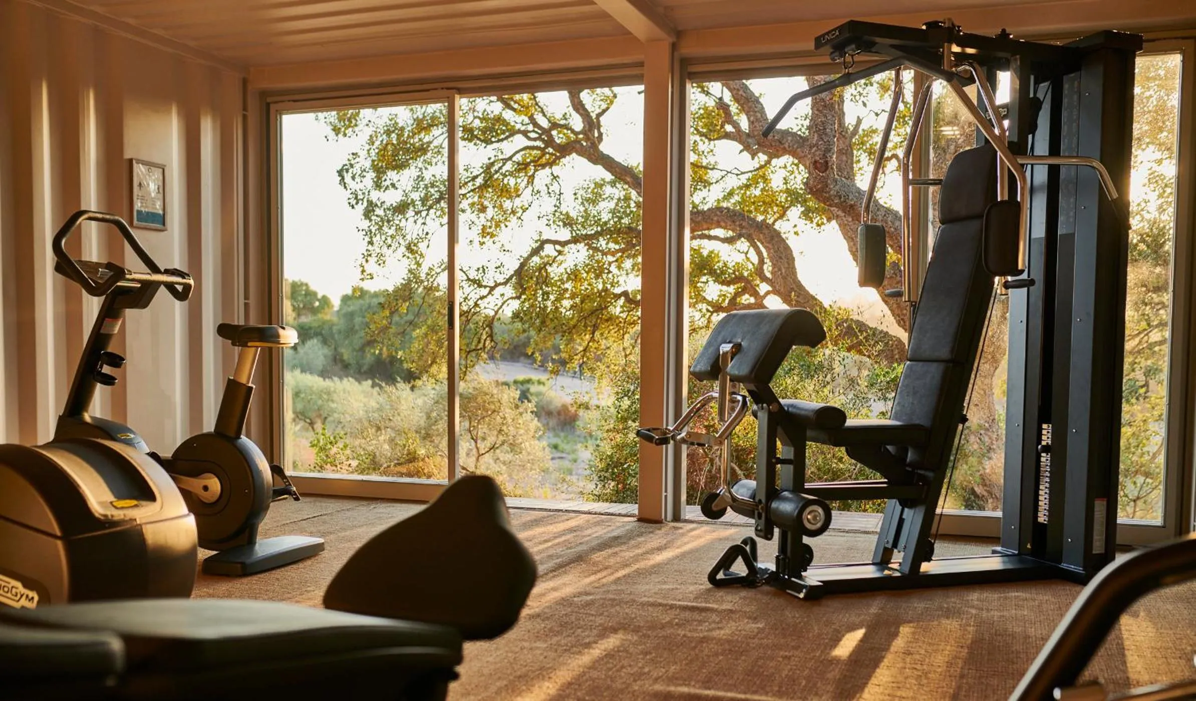Fitness centre/facilities in Cascioni Eco Retreat
