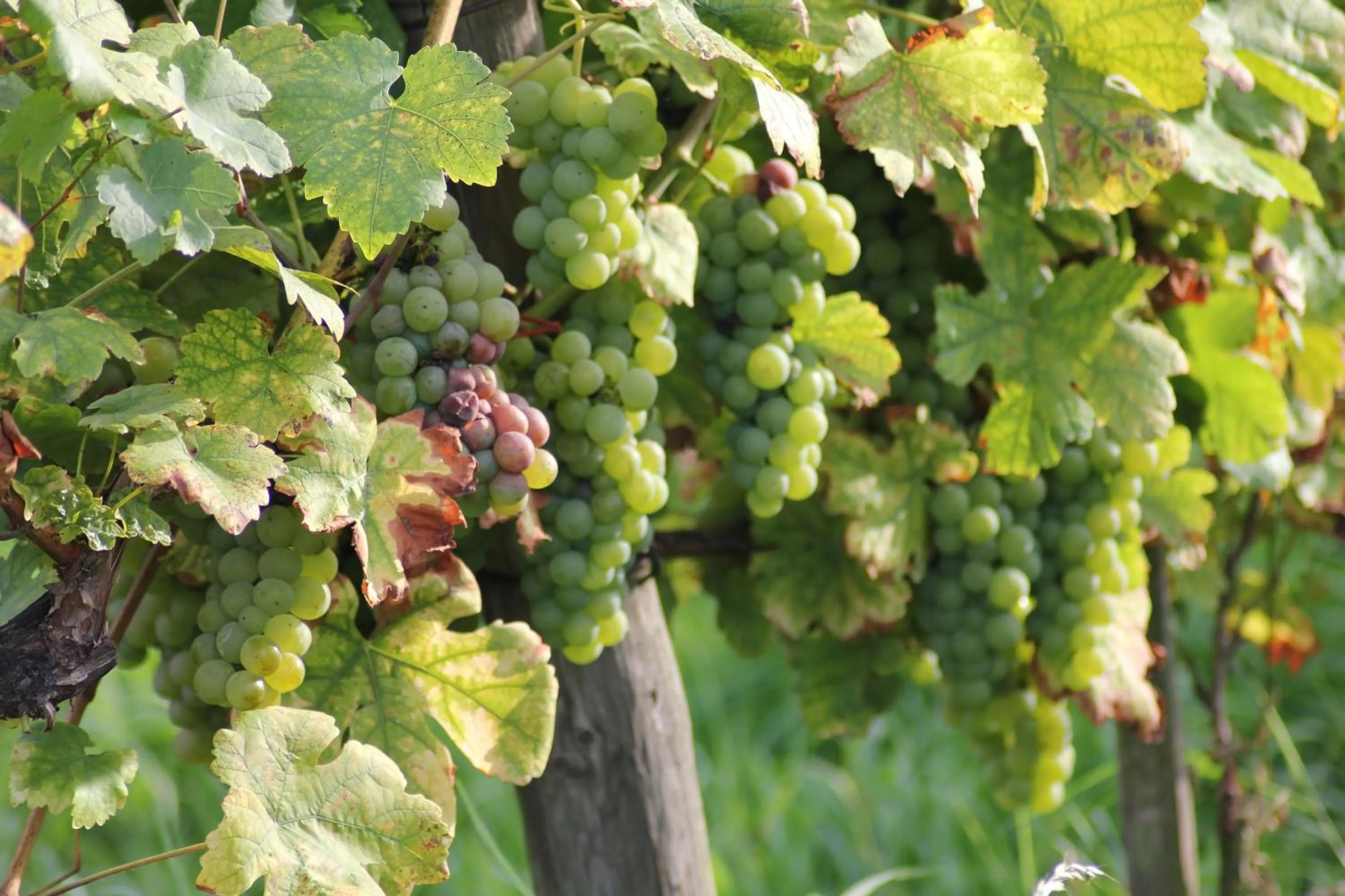 Area and facilities in Atrium Hotel Baden