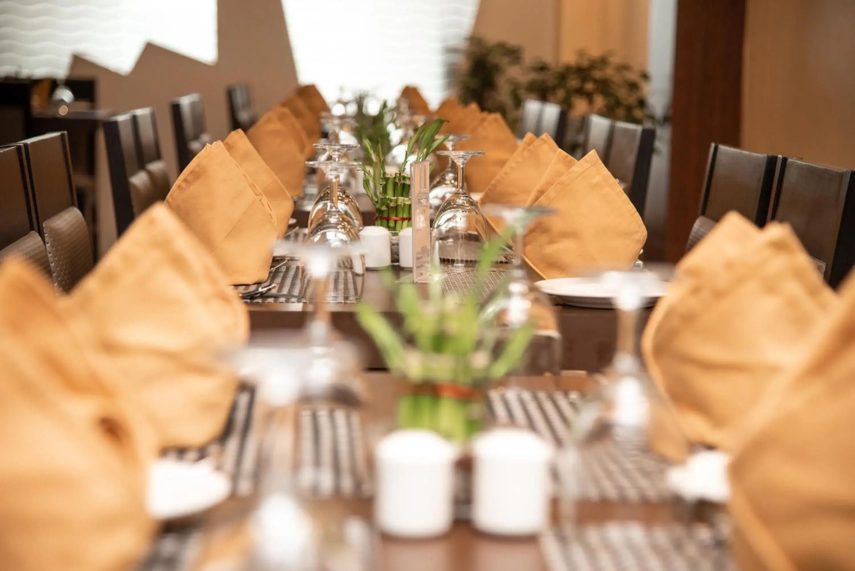 Restaurant/places to eat in Hotel Ballerina Restaurant/places to eat in Hotel Ballerina