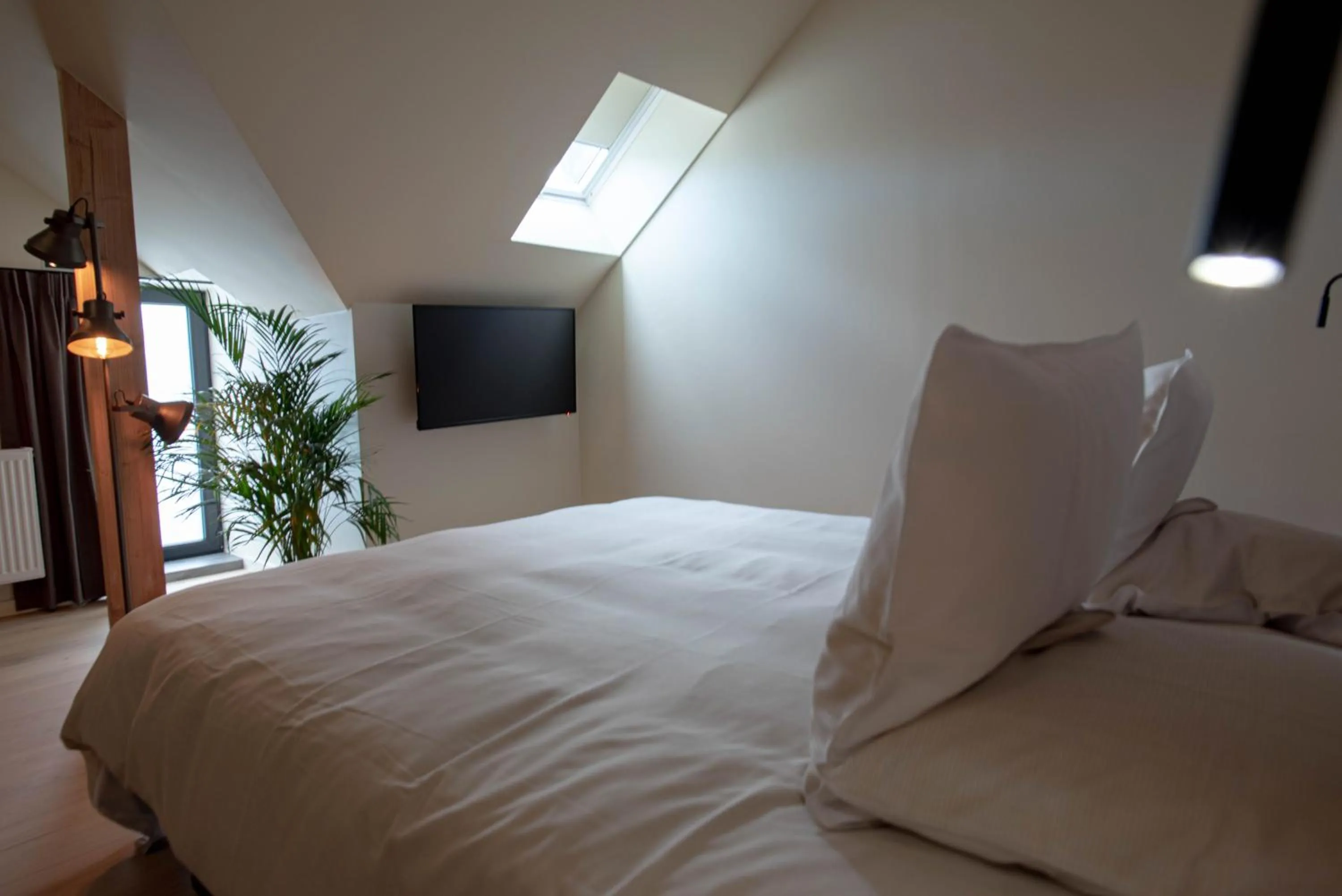 TV and multimedia, Bed in ‘t Ponton