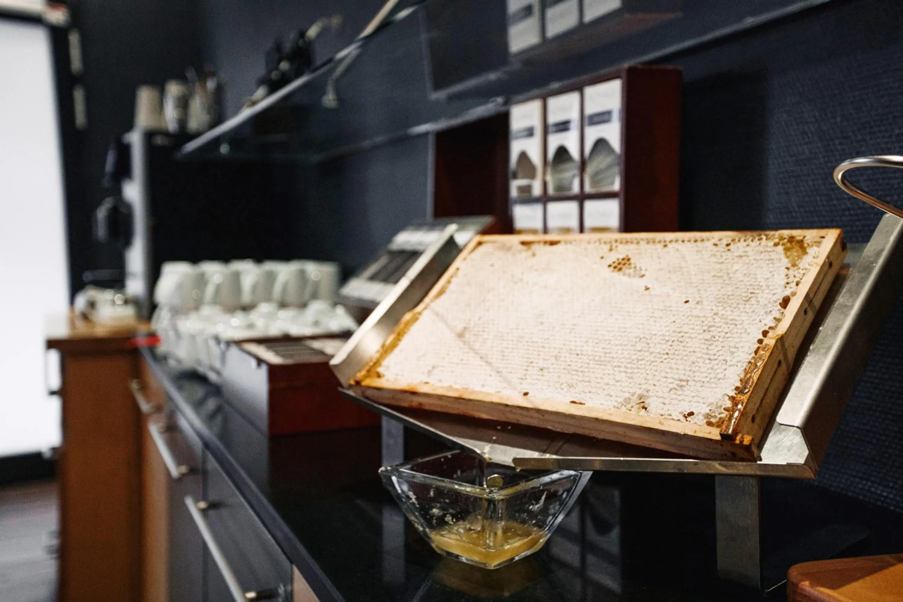 Restaurant/places to eat in Ramada by Wyndham Essen