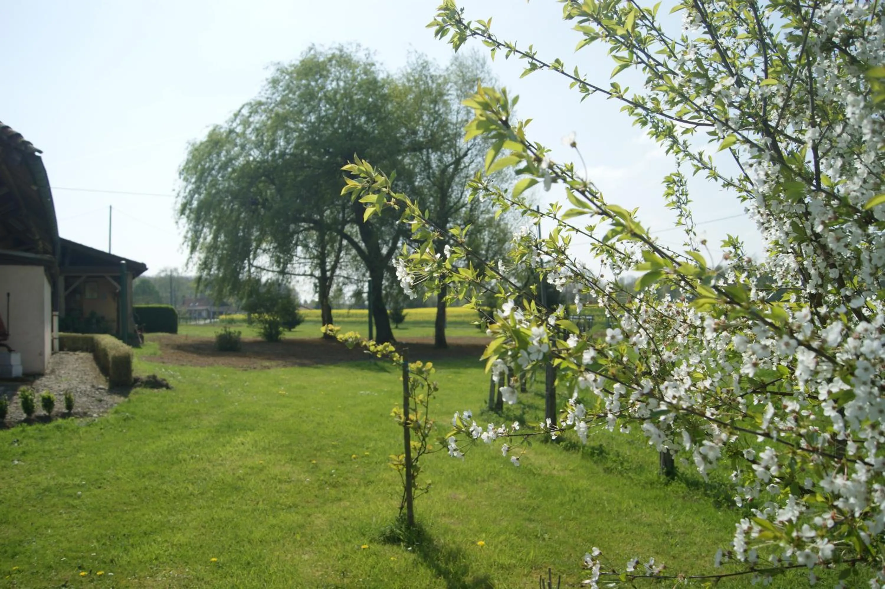 Garden in La mare aux grenouilles