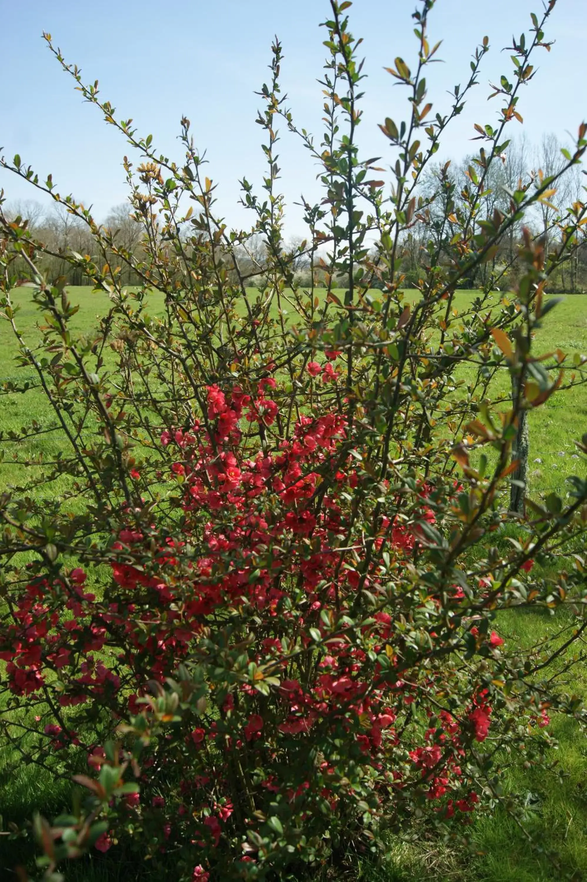 Double Room with Garden View in La mare aux grenouilles Double Room with Garden View in La mare aux grenouilles
