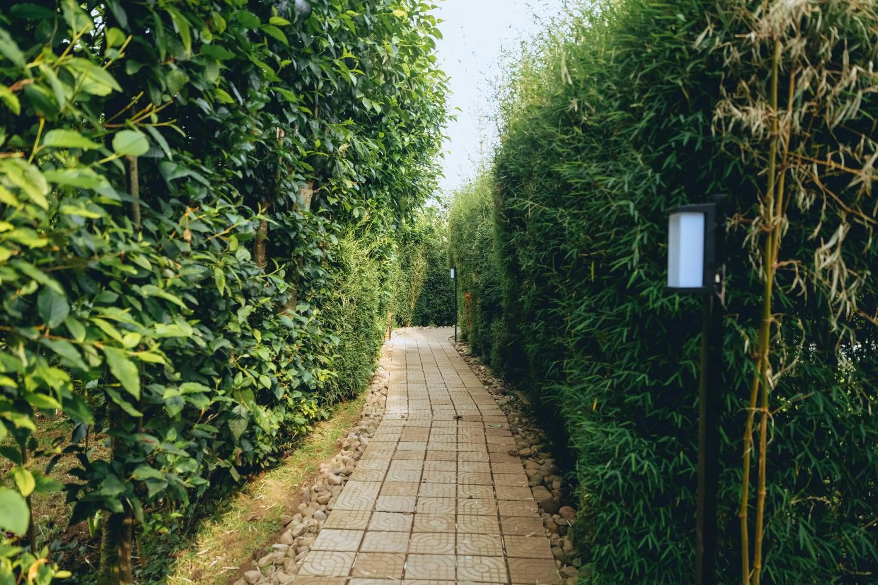 Amarembo by Touch Down