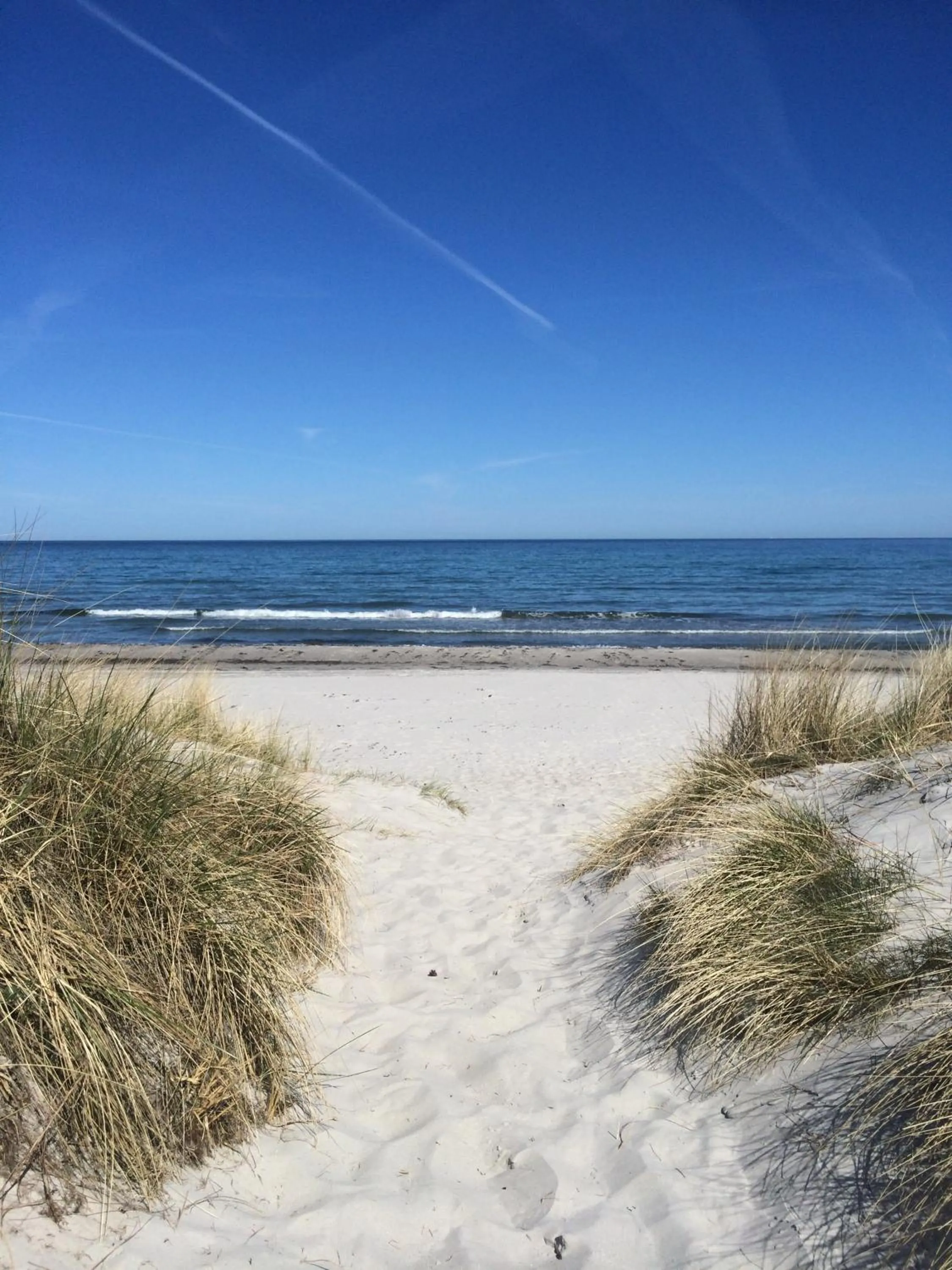 Natural landscape in Hotel- & Ferienanlage Kapitäns-Häuser Breege