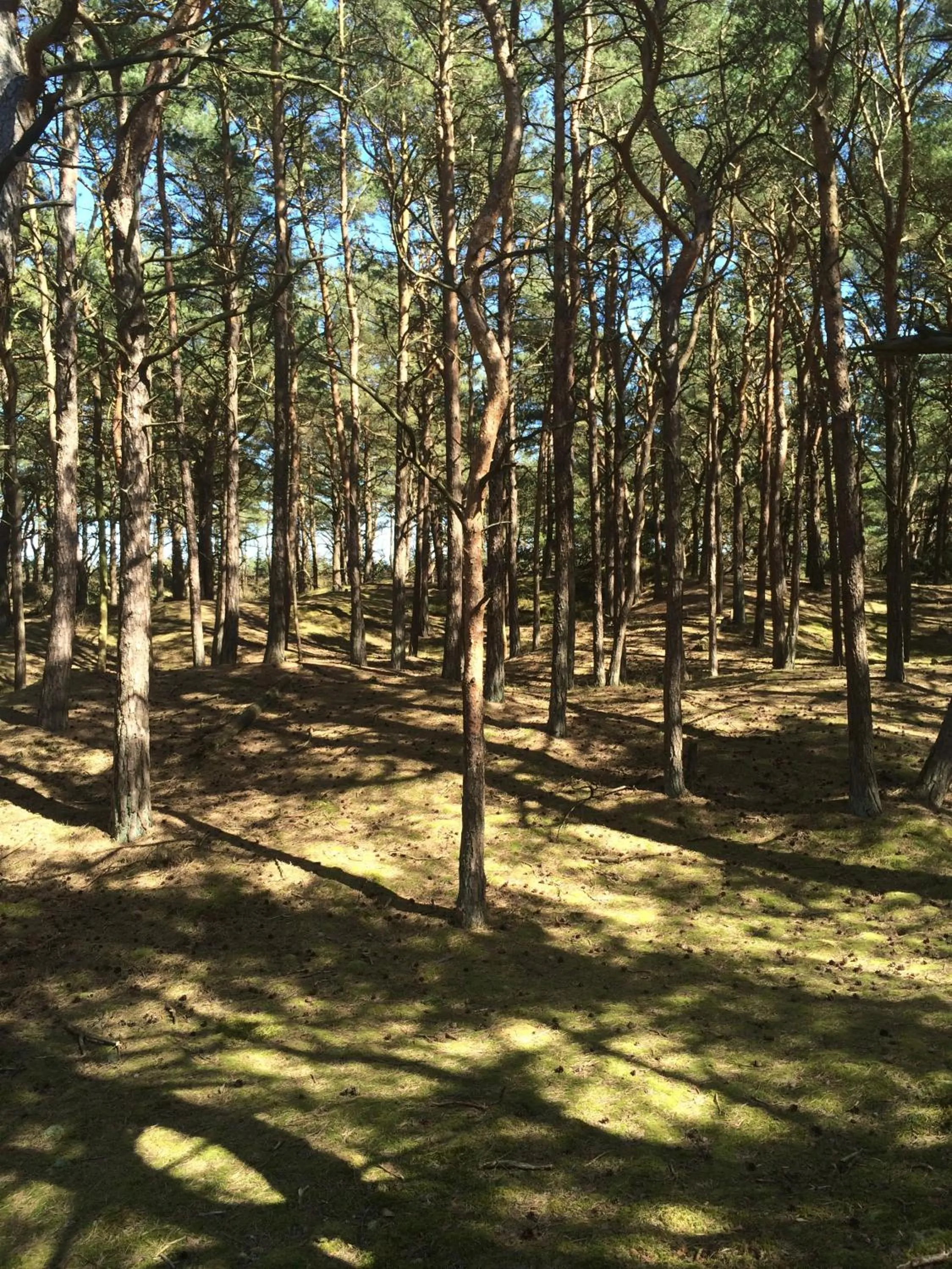 Off site in Hotel- & Ferienanlage Kapitäns-Häuser Breege