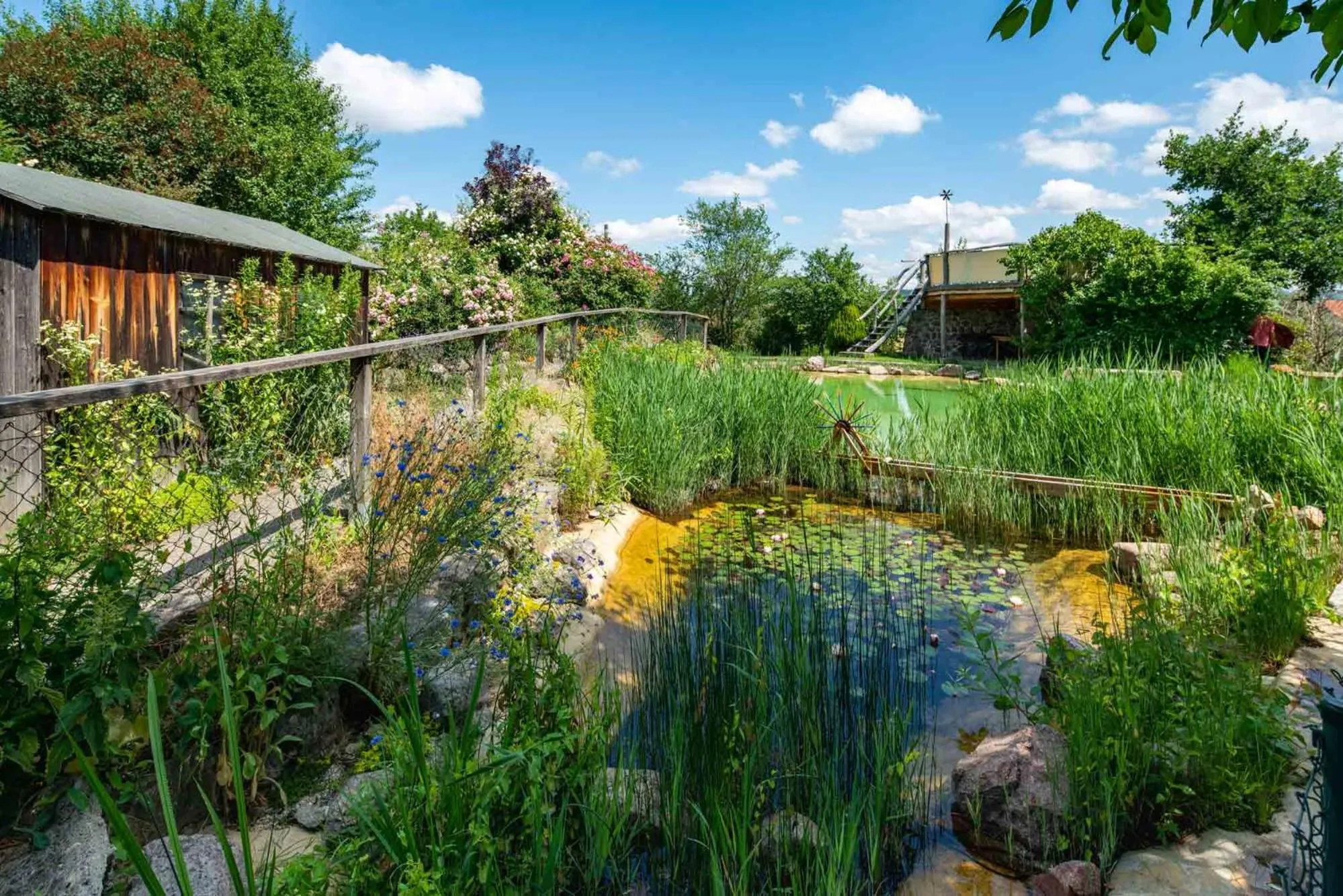 Garden in Landhotel Gut Wildberg mit Sauna