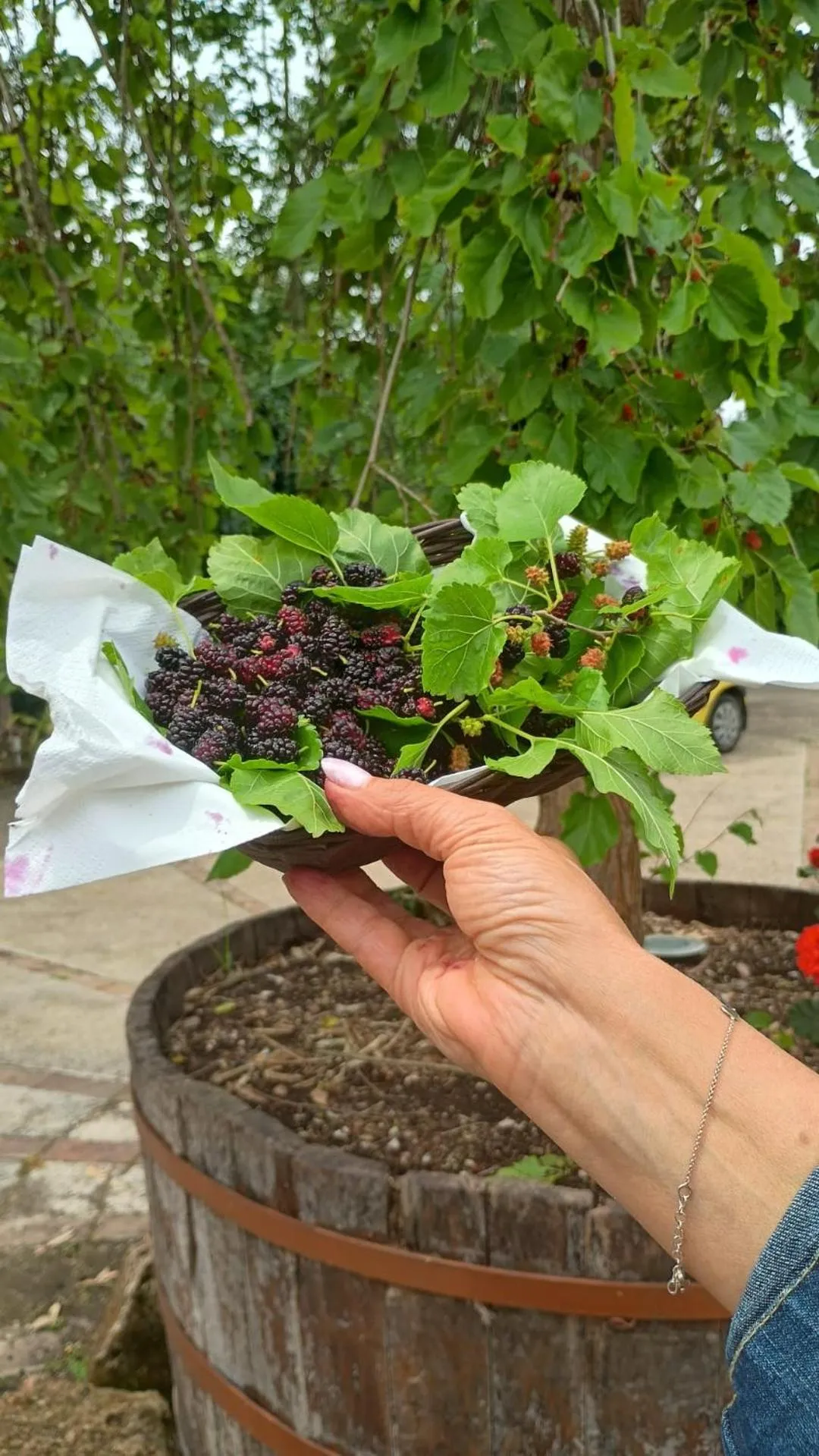 Property building in Casale Rurale